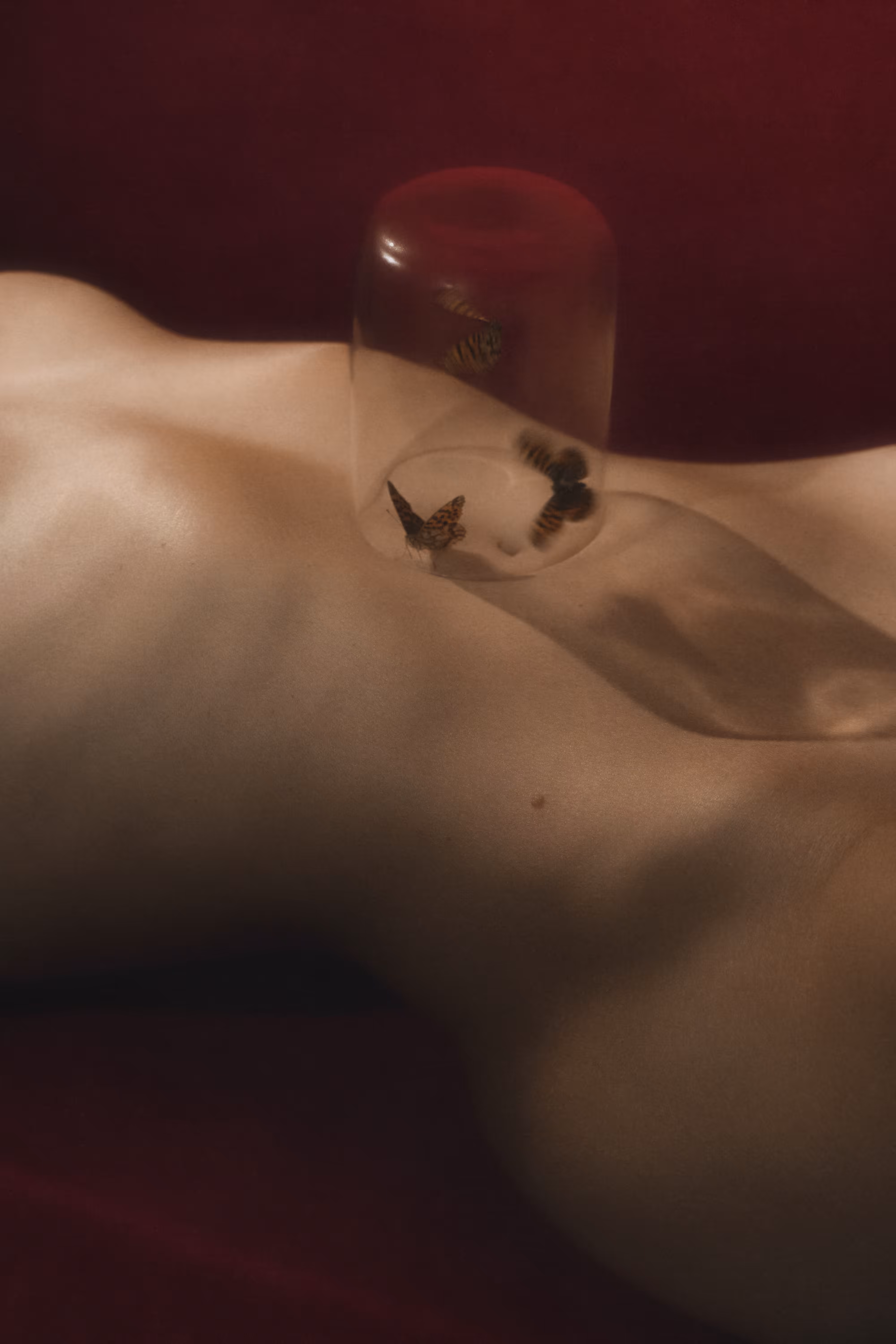 Butterflies in the Stomach