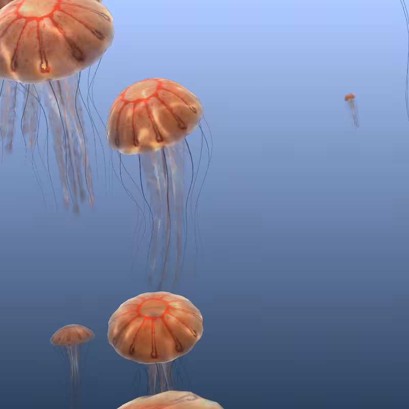 Jellyfish #19