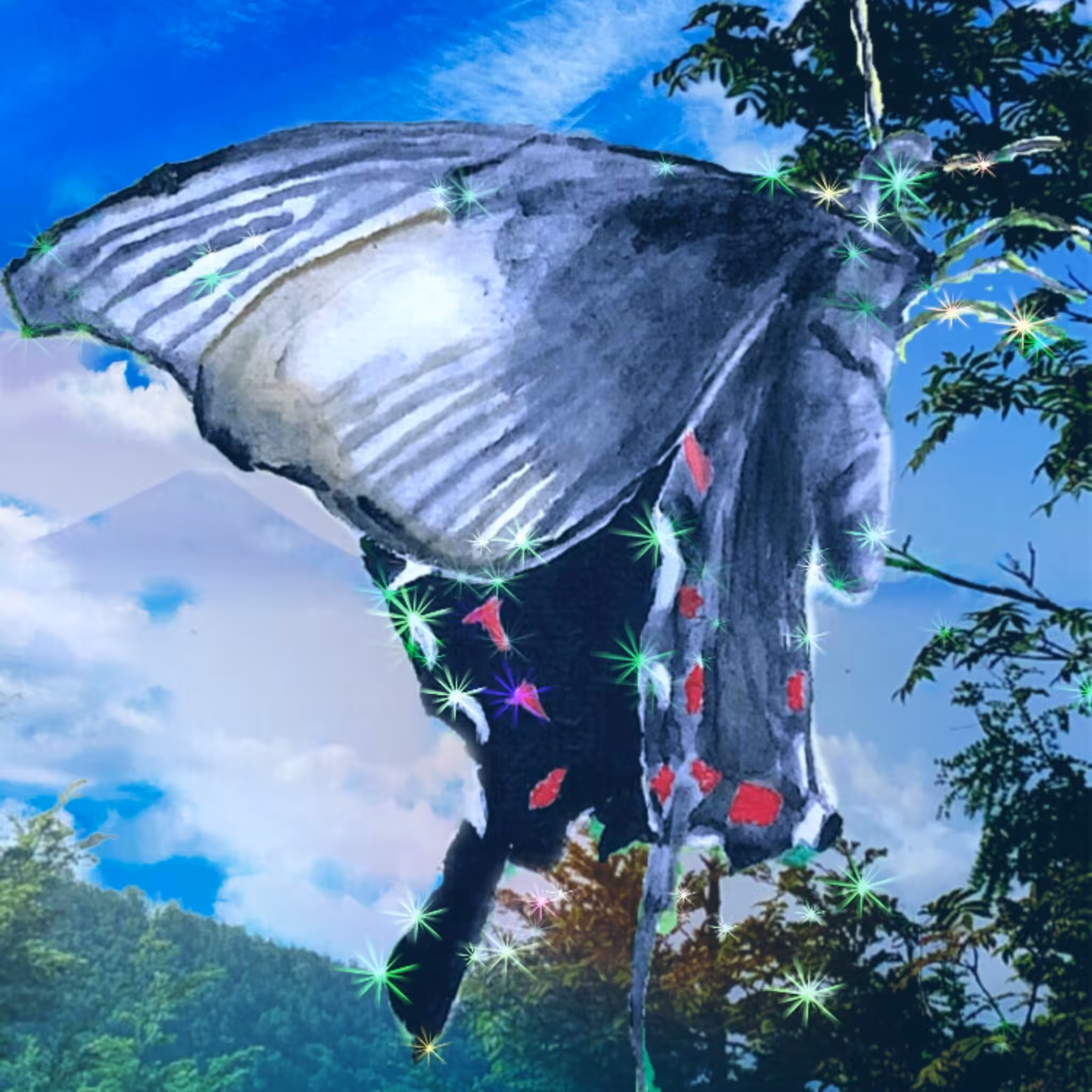 The Evolution of Black Swallowtail