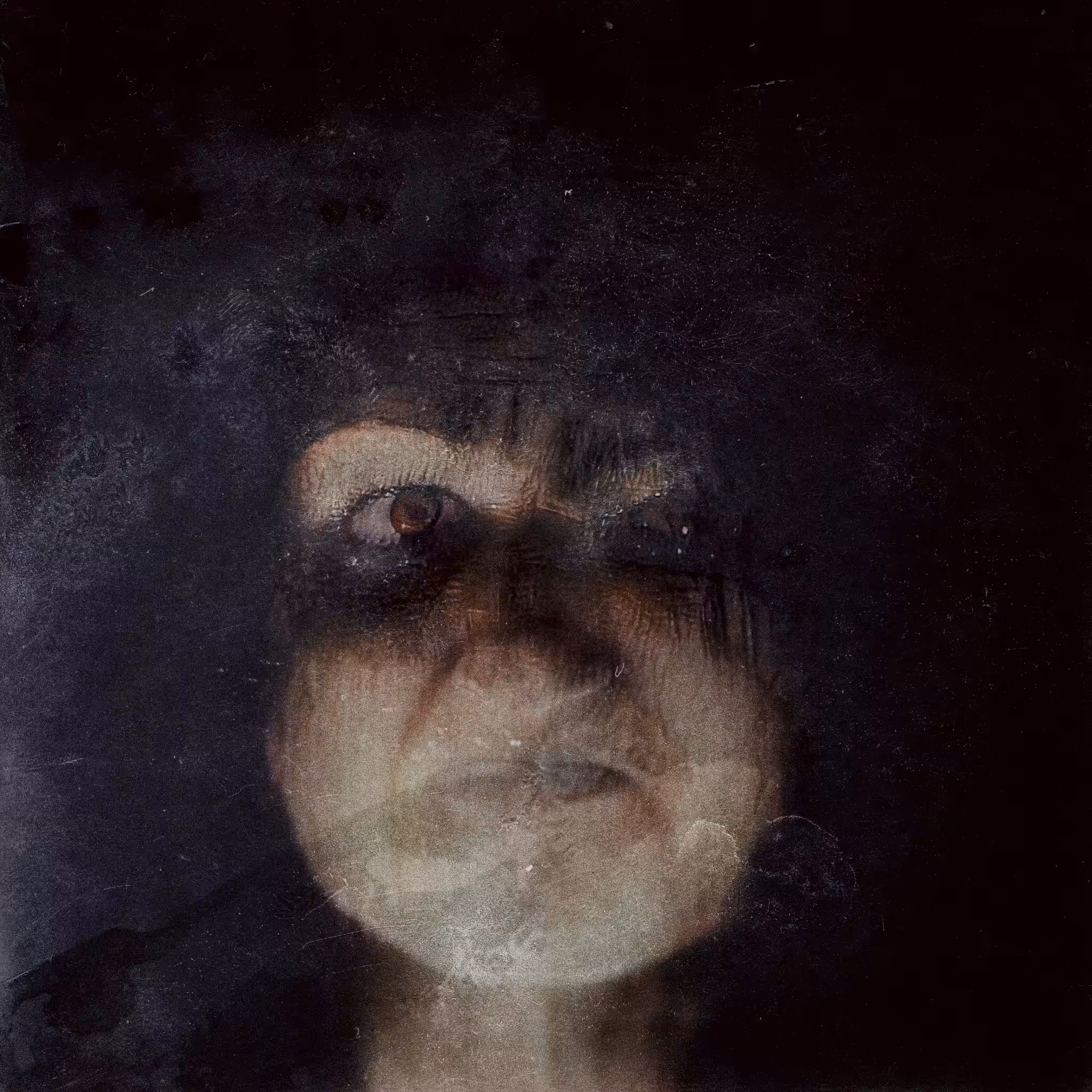 Webgan portrait #4