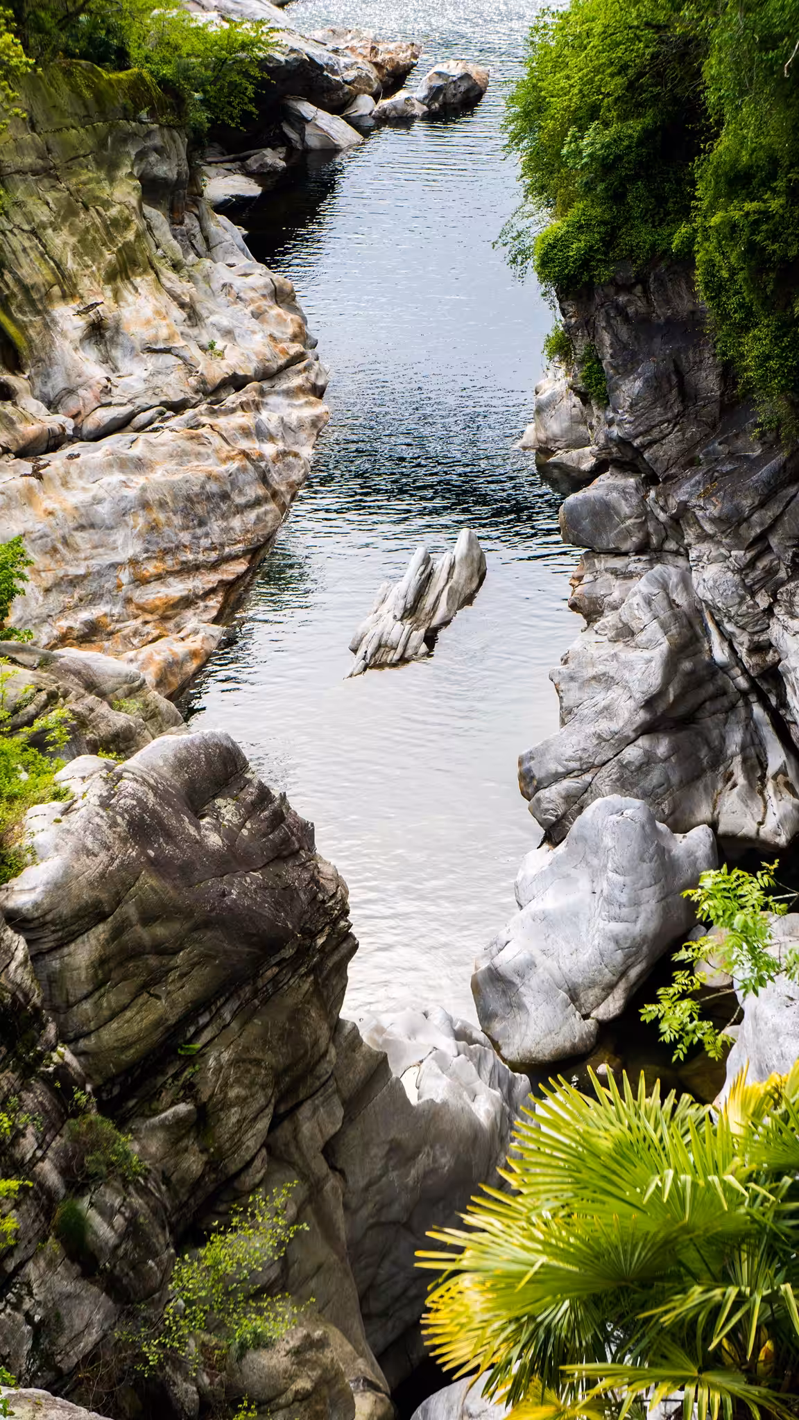 Ticino