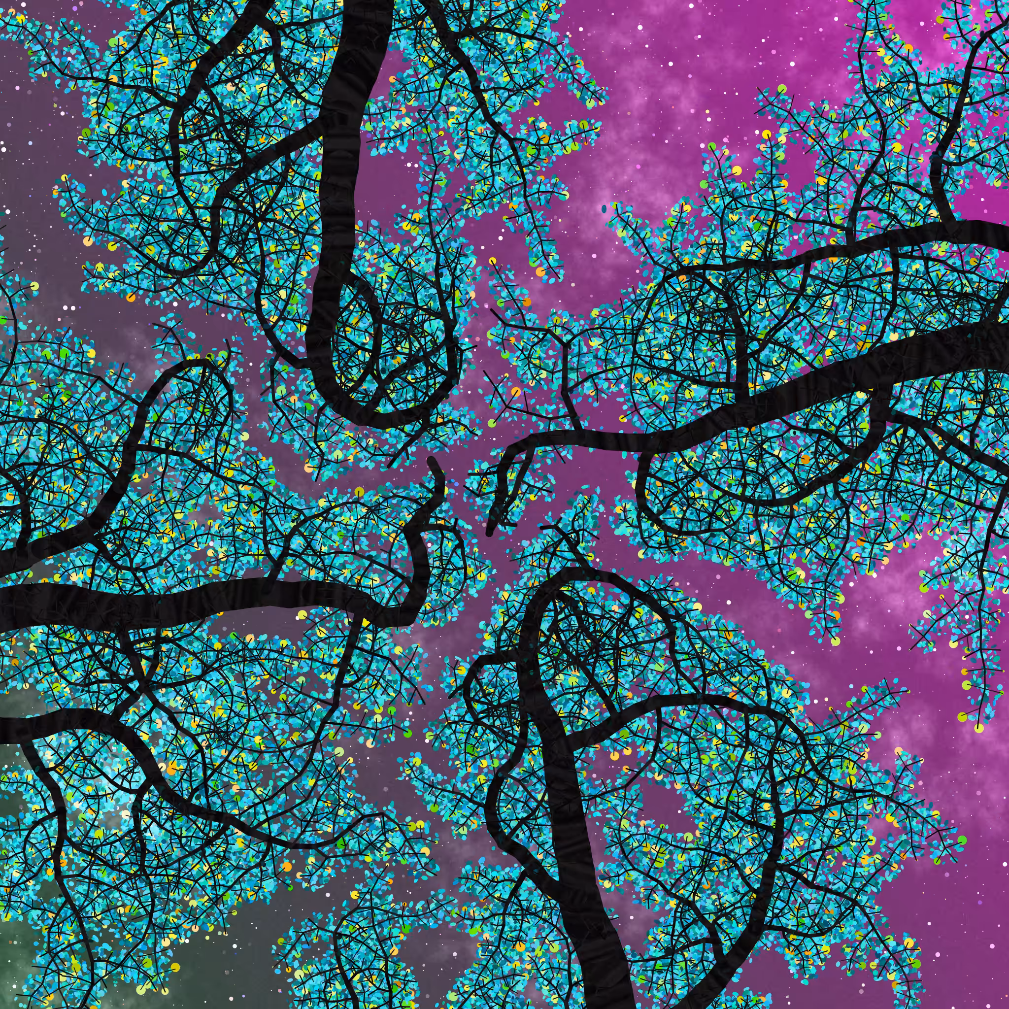 Tree Skyness #233