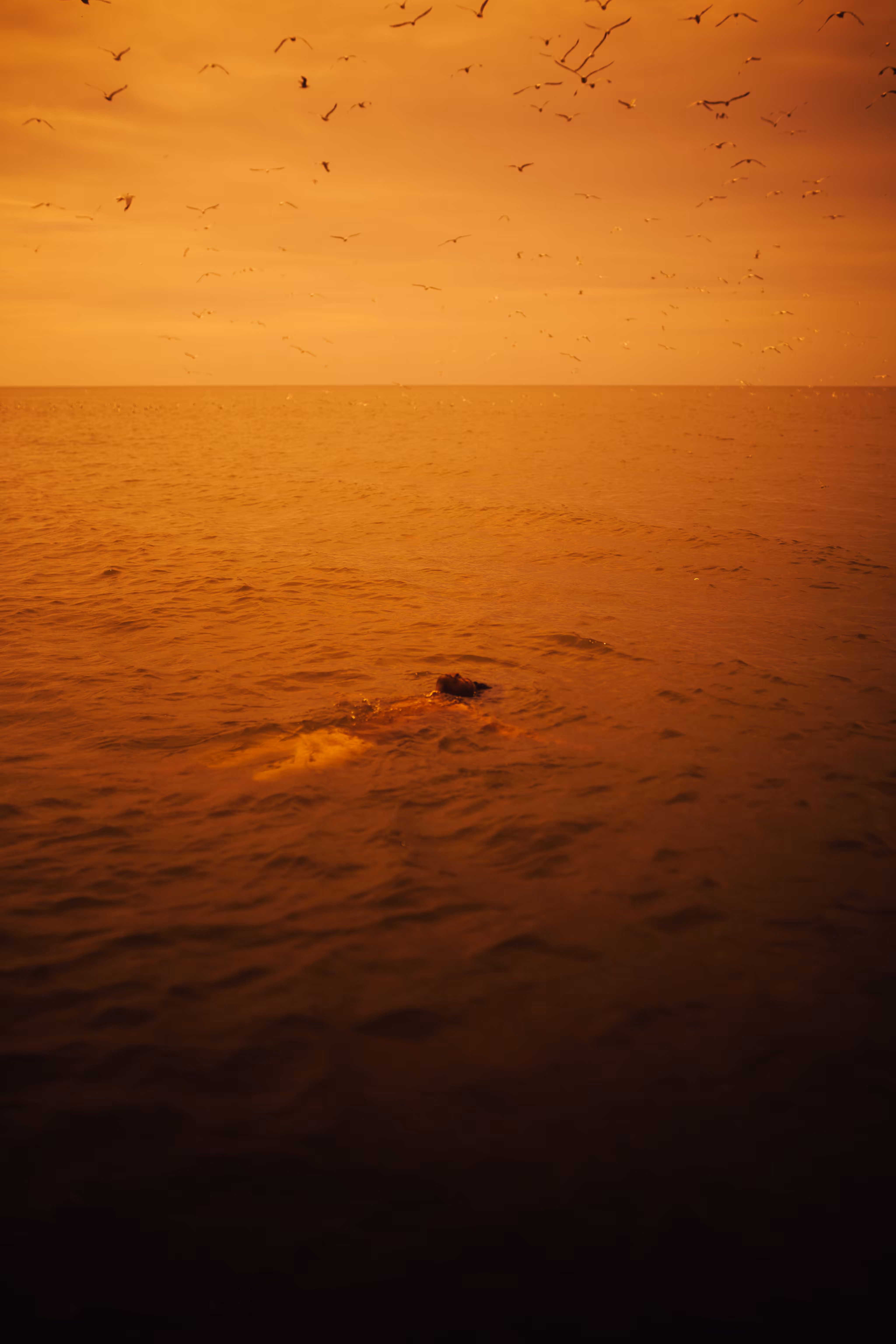 A WEIGHTLESS DREAM