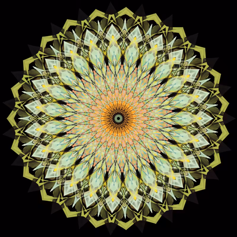 Morphing Mandala - #fxhashturnsone charity #42