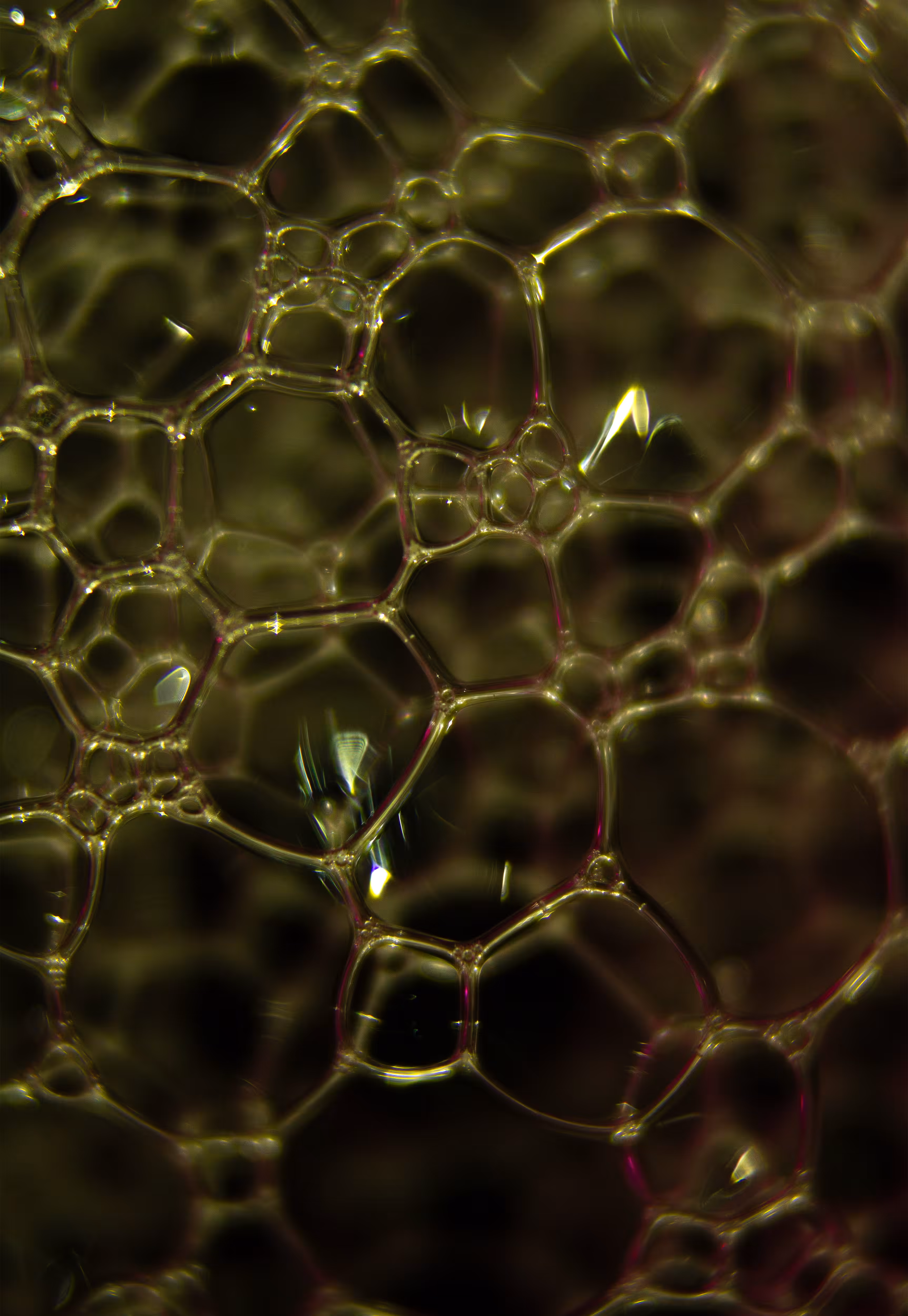 Abstract World of Soap Bubbles: #36 Bubbles