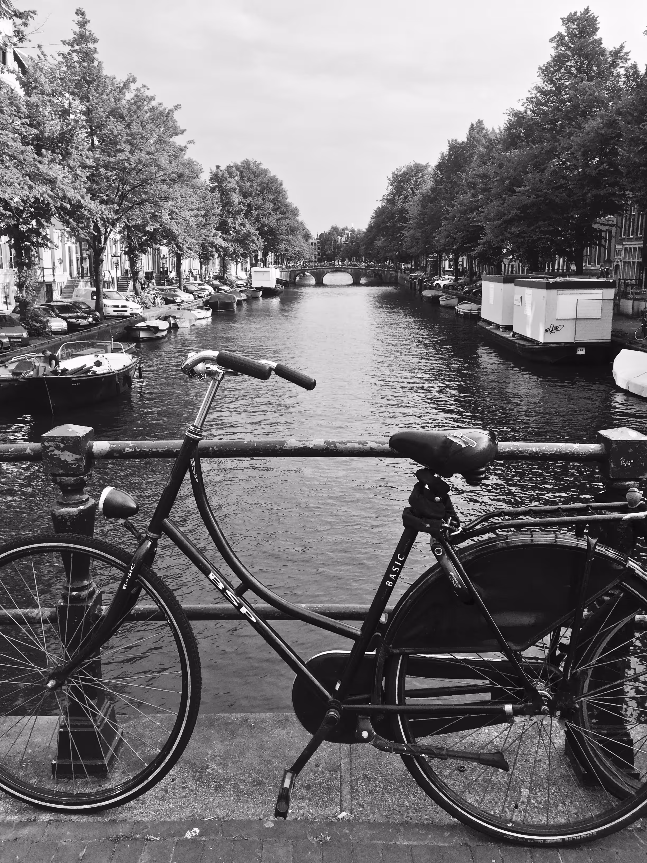 "Amsterdam, In A Nutshell."