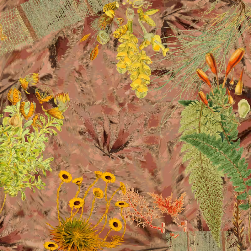 future flora from Antarctica's past #13
