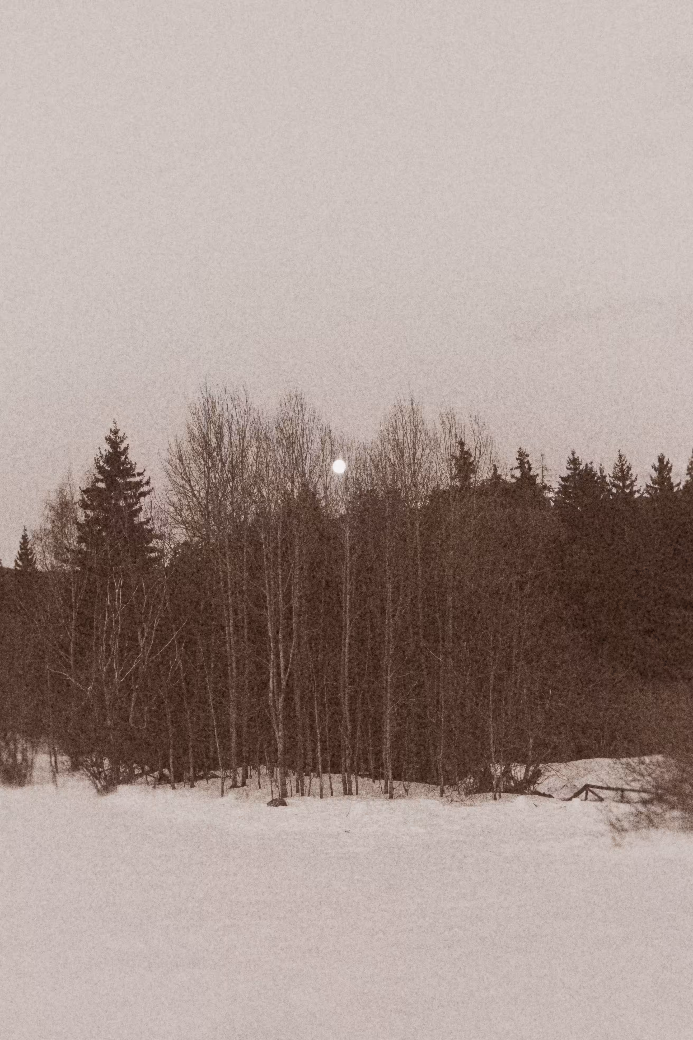 The Hour Between Worlds