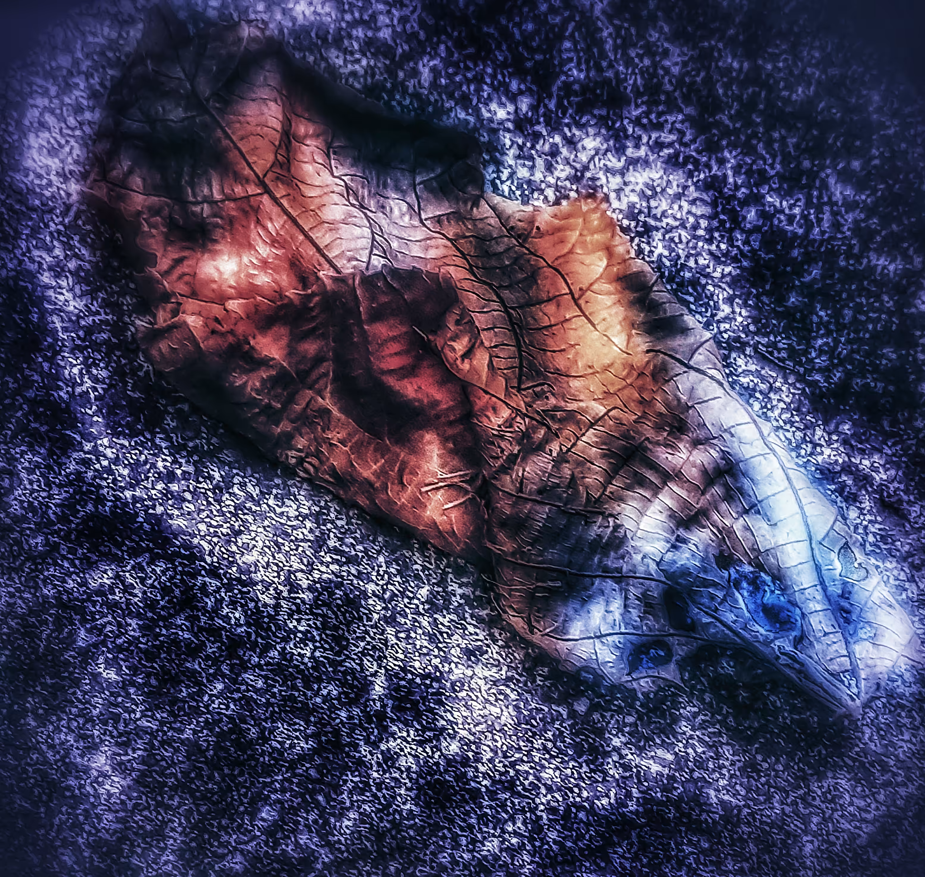 The Leaf