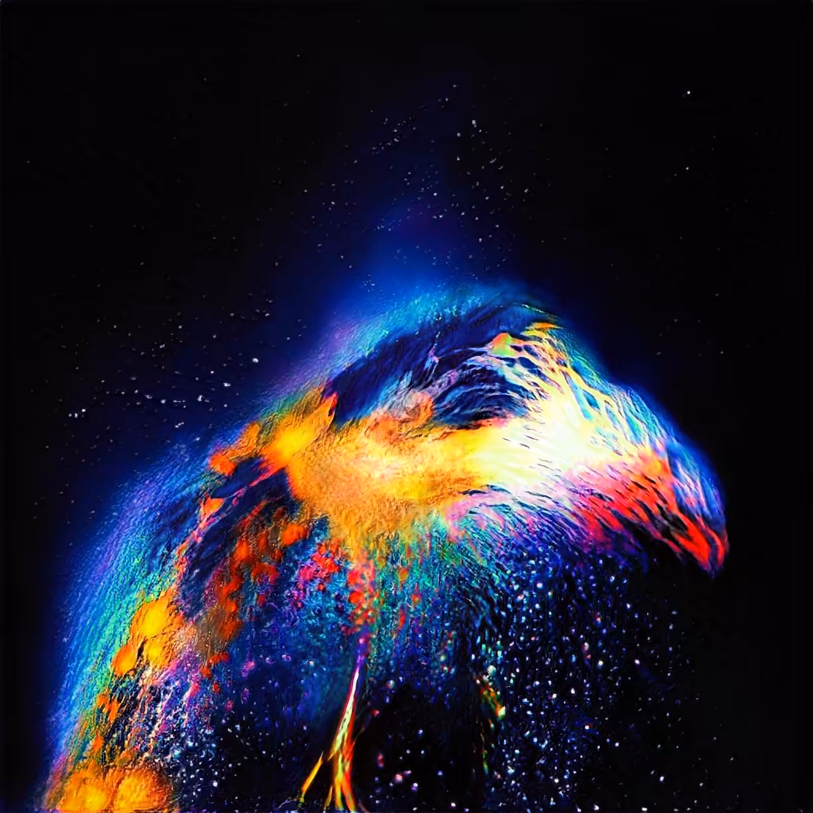 Birdy