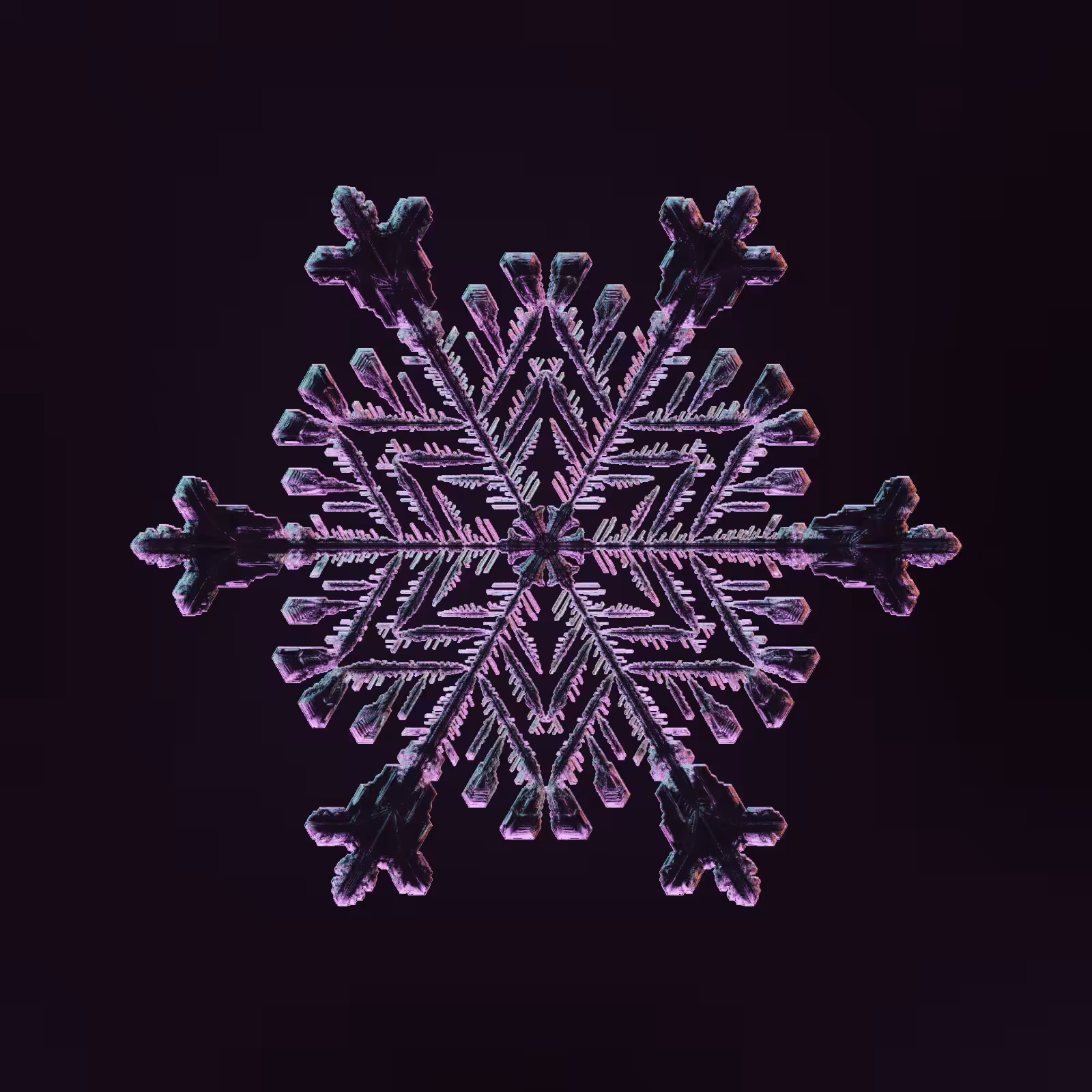 Symmetry and Intricacy #3