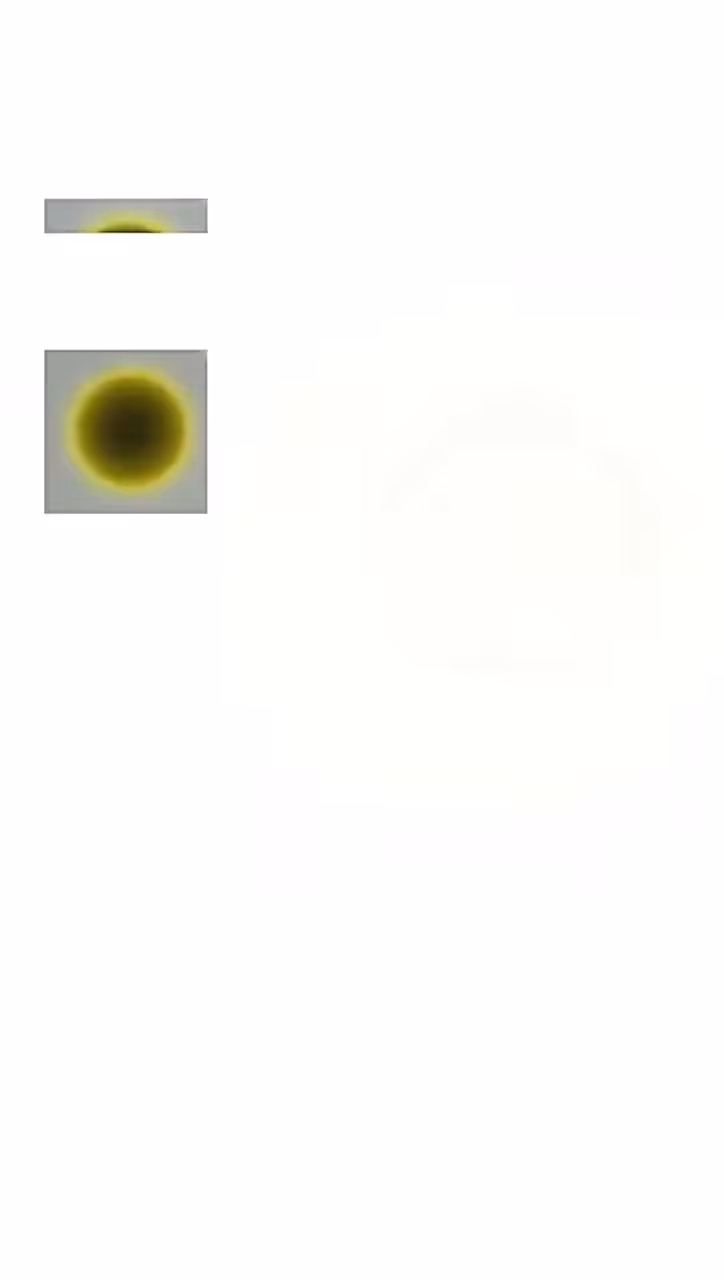 sequenced circles and squares 