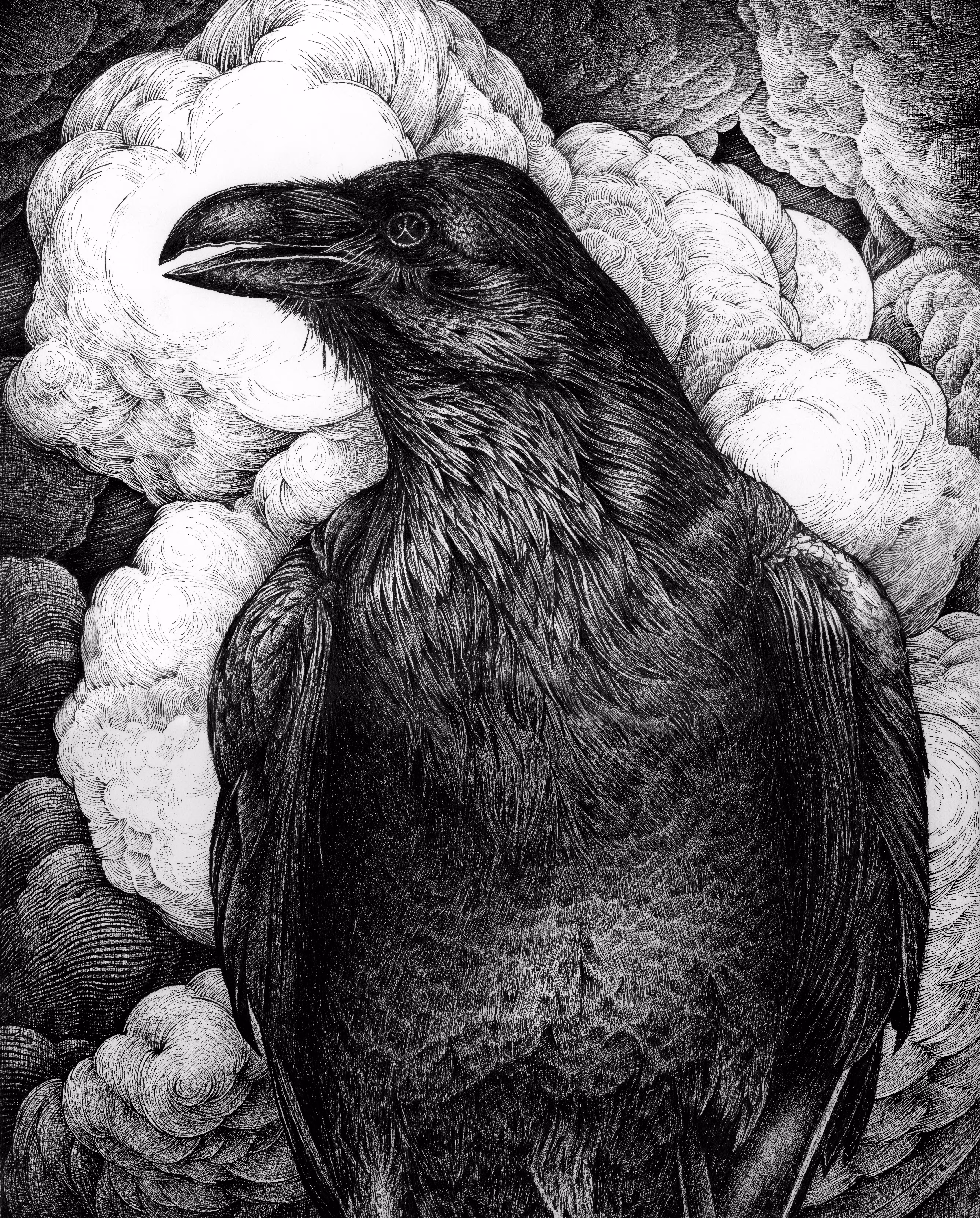 Fire Raven