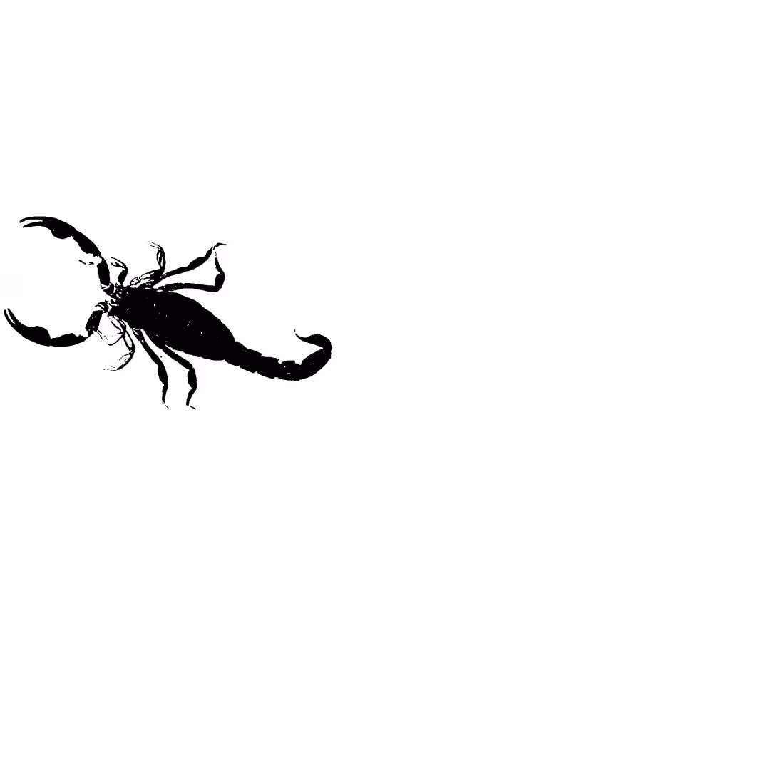 SCORPION STUCK IN A WINE GLASS