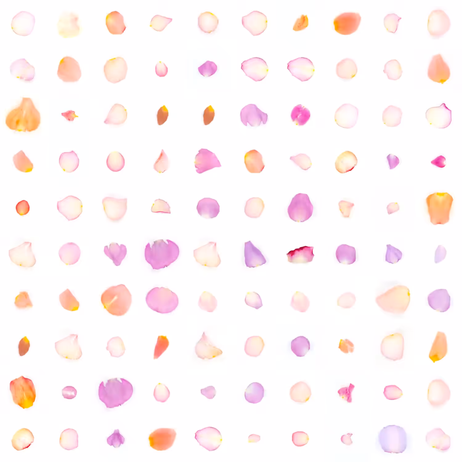 Infinite Petals 10x10#2152