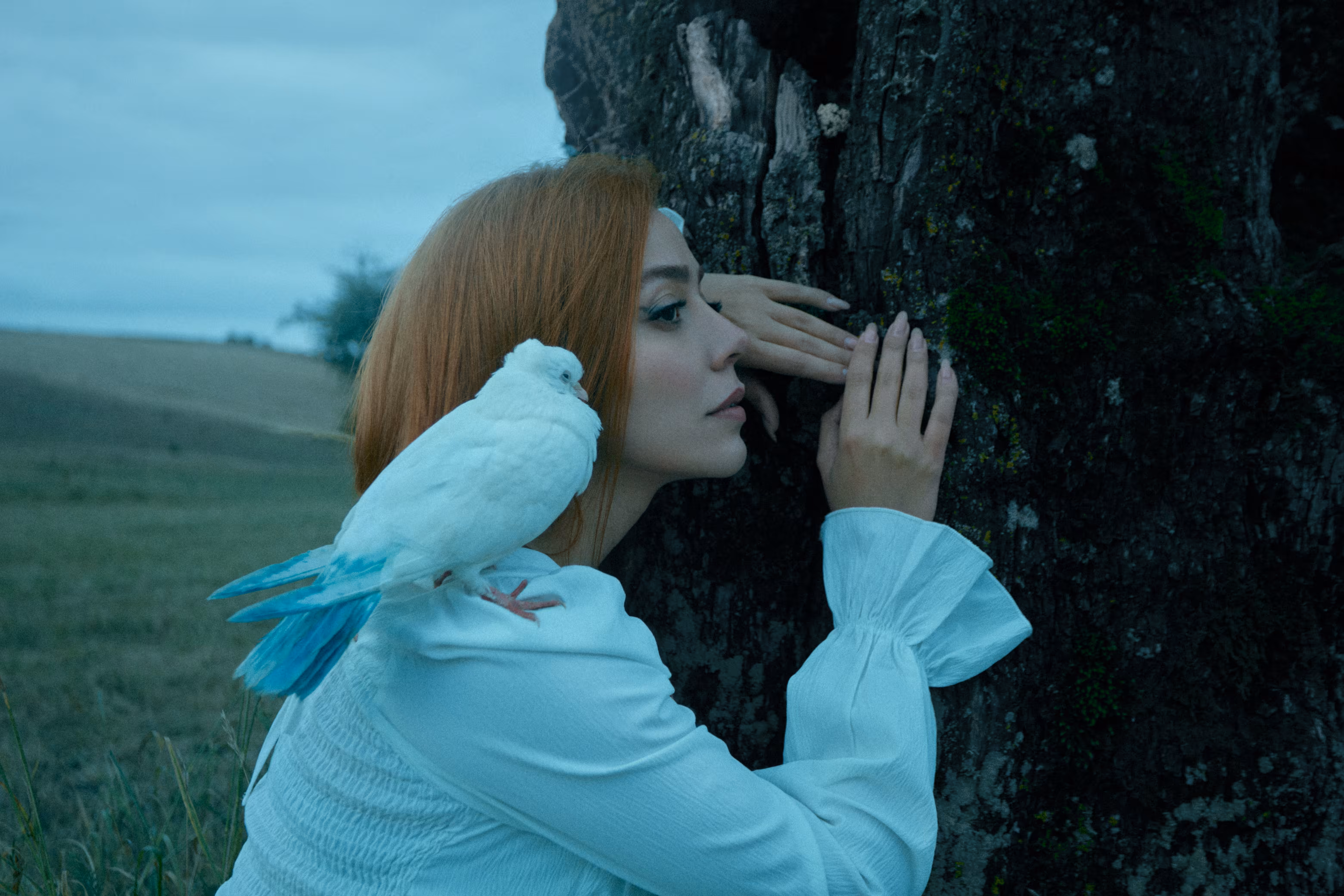 Song of the Unseen