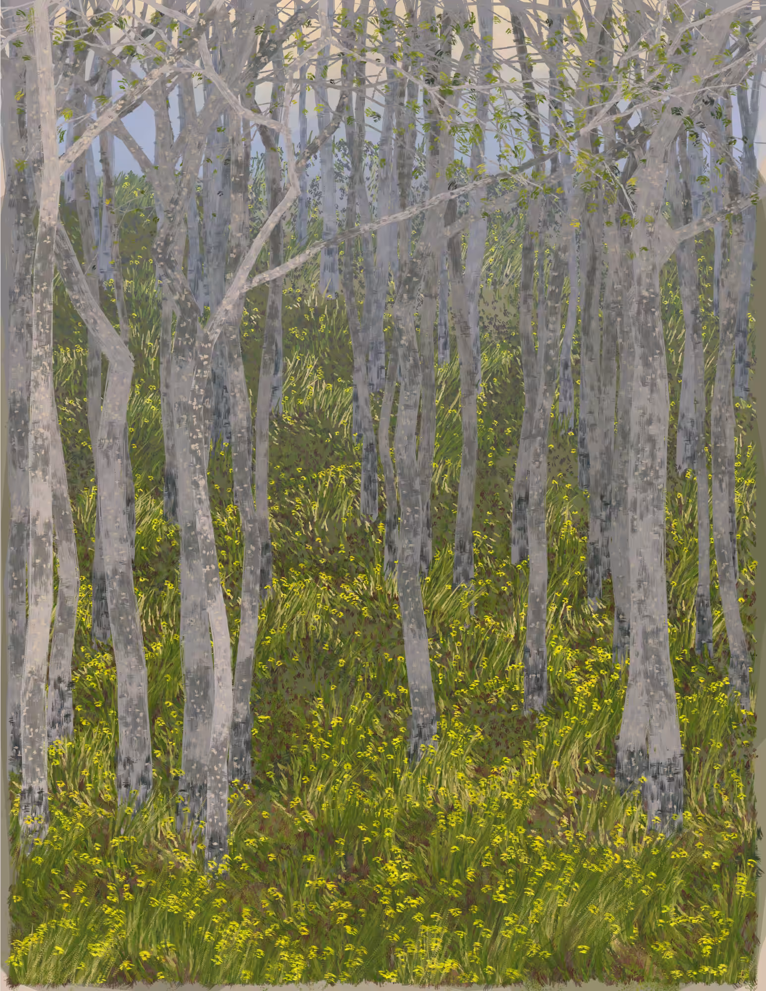 Deep Forest #279