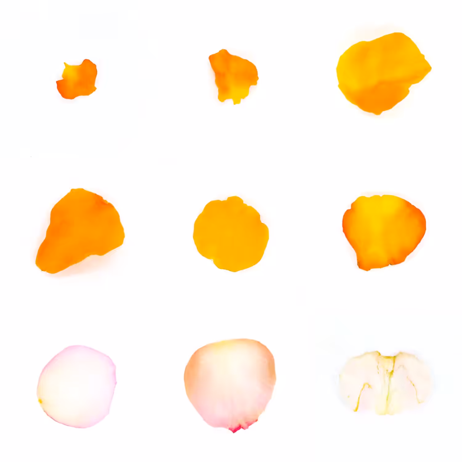 Infinite Petals 3x3#682