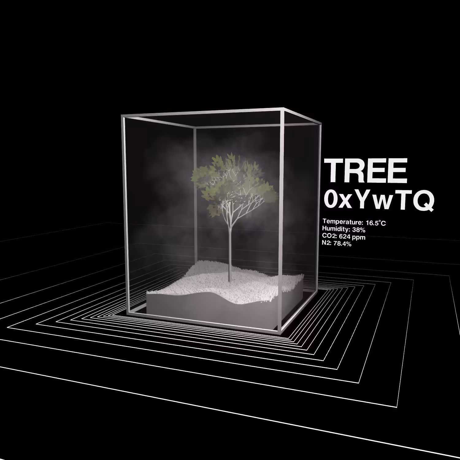 TREES #1