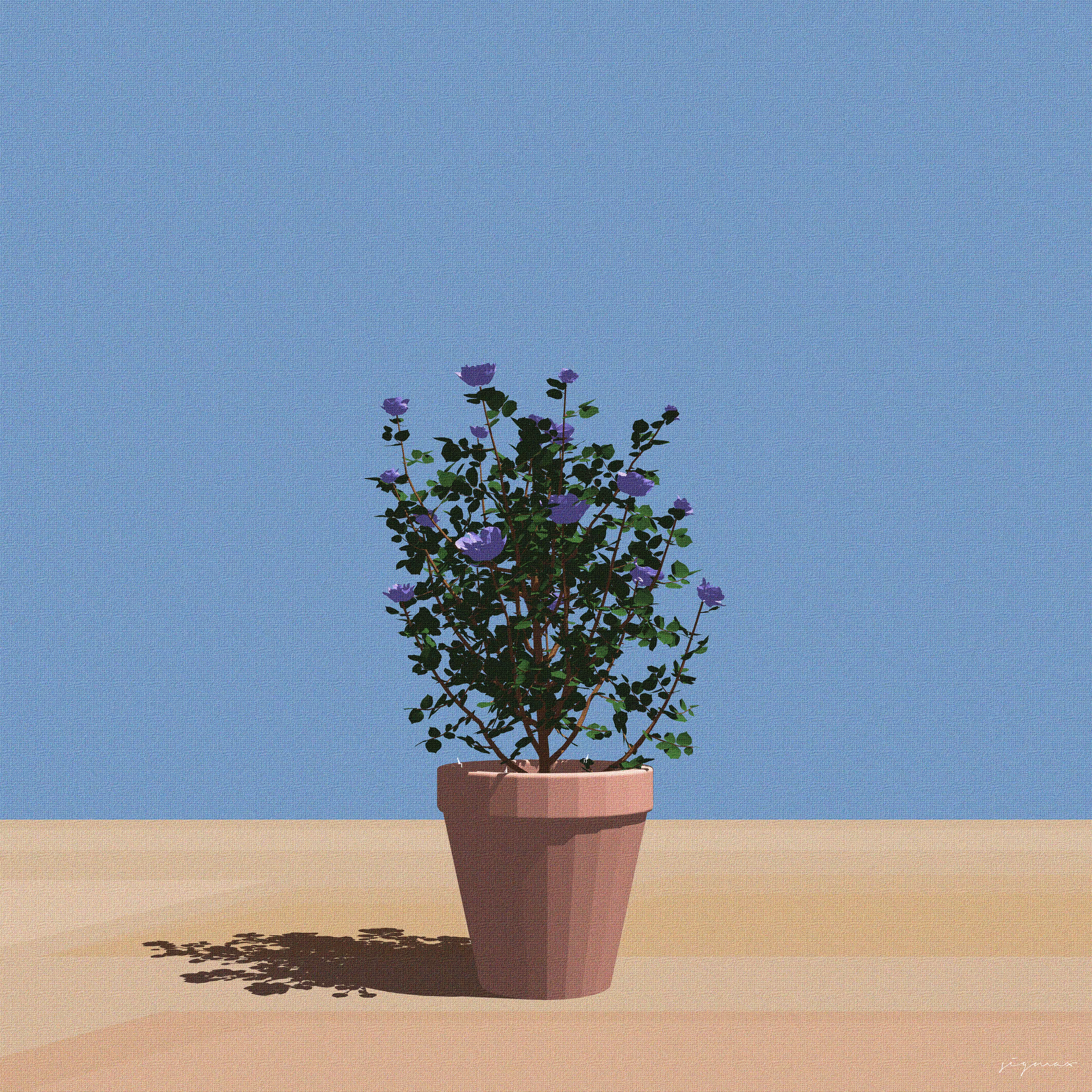The Purple Flowers