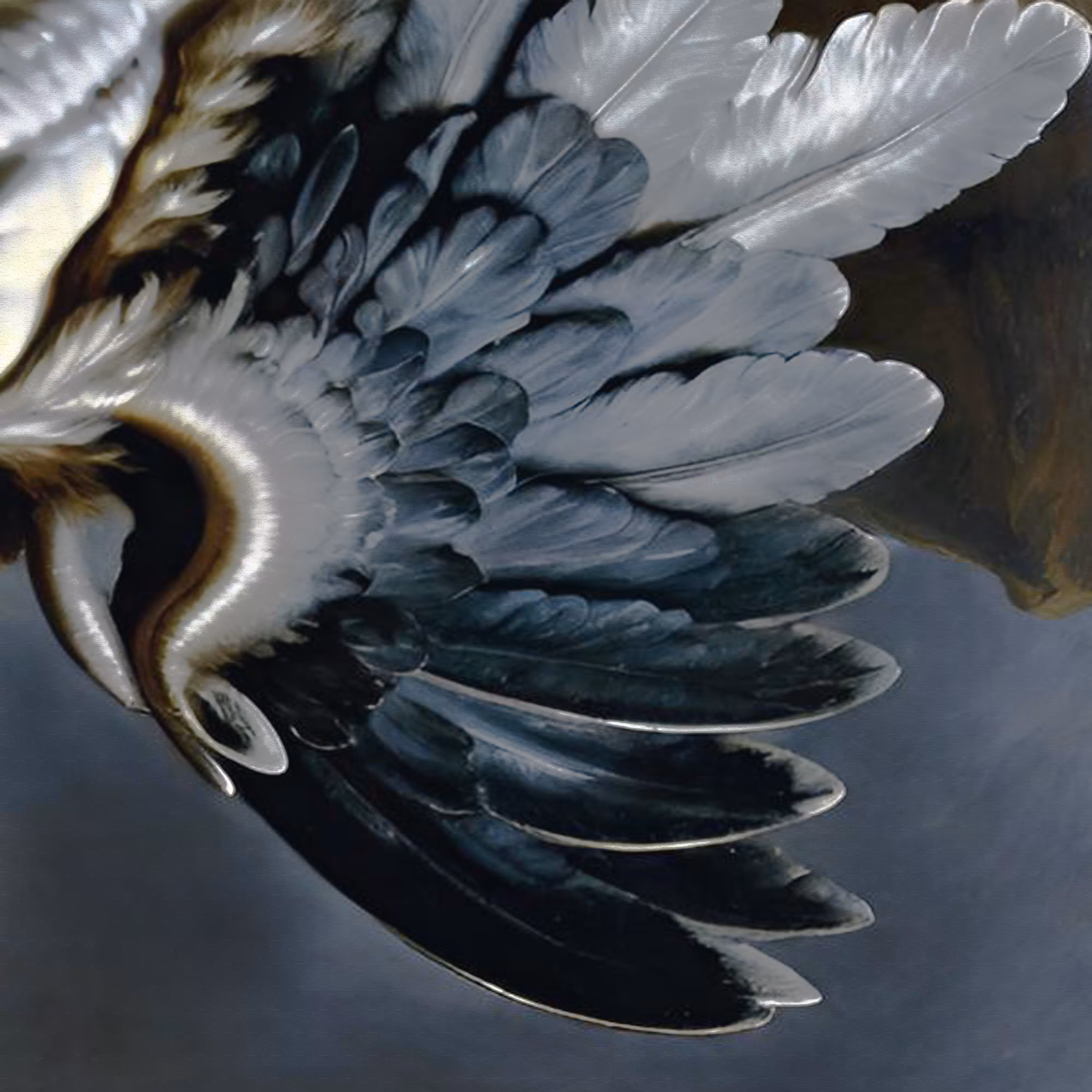 .·¨༺ ᖭི༏ᖫྀ ༻¨·. { TZ-XIII } A myth embodied from d146elf. ۝ ℋ4𝒦𝓅 𝔄 ℑ ˙ 人工知能 XNLKX