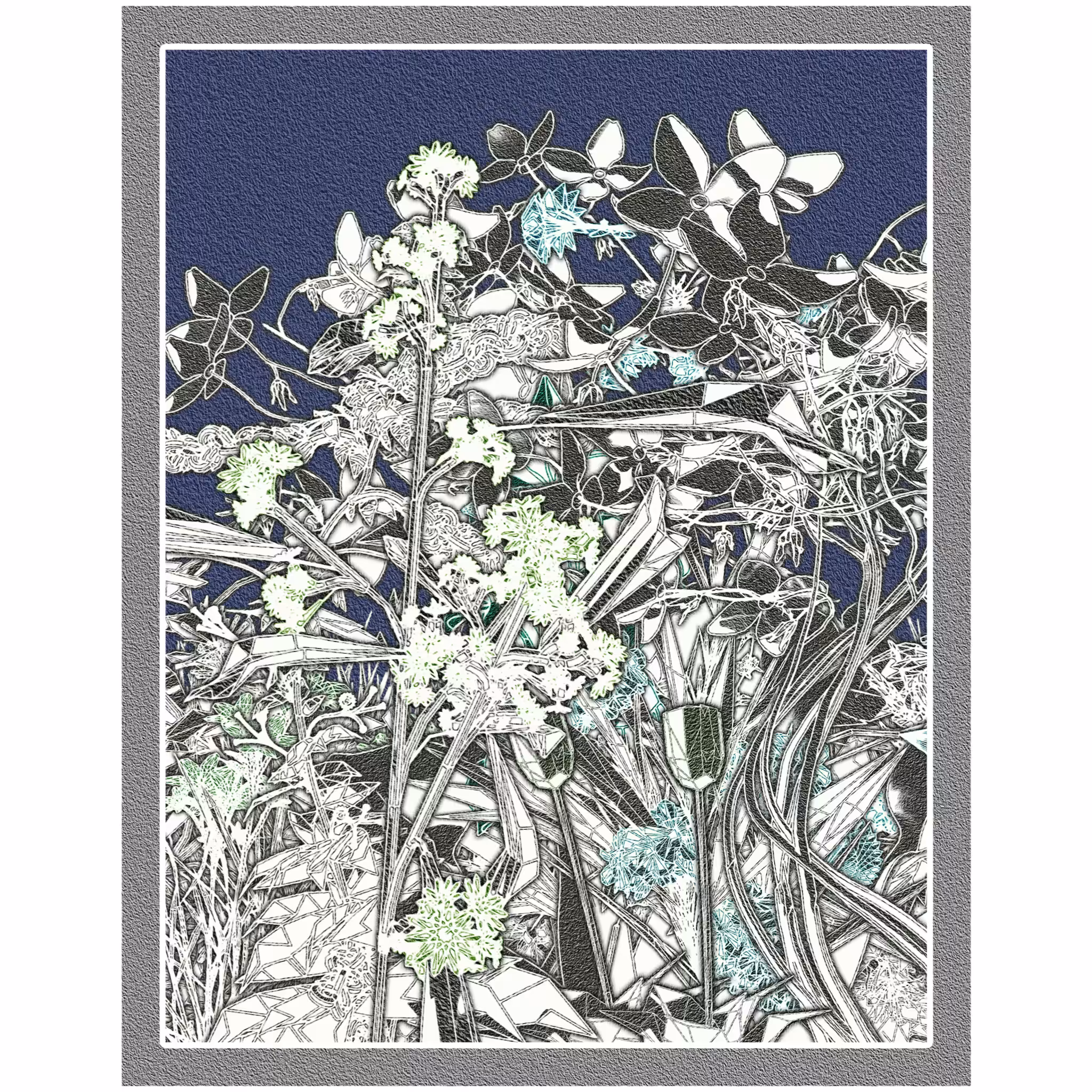 Flower View #11
