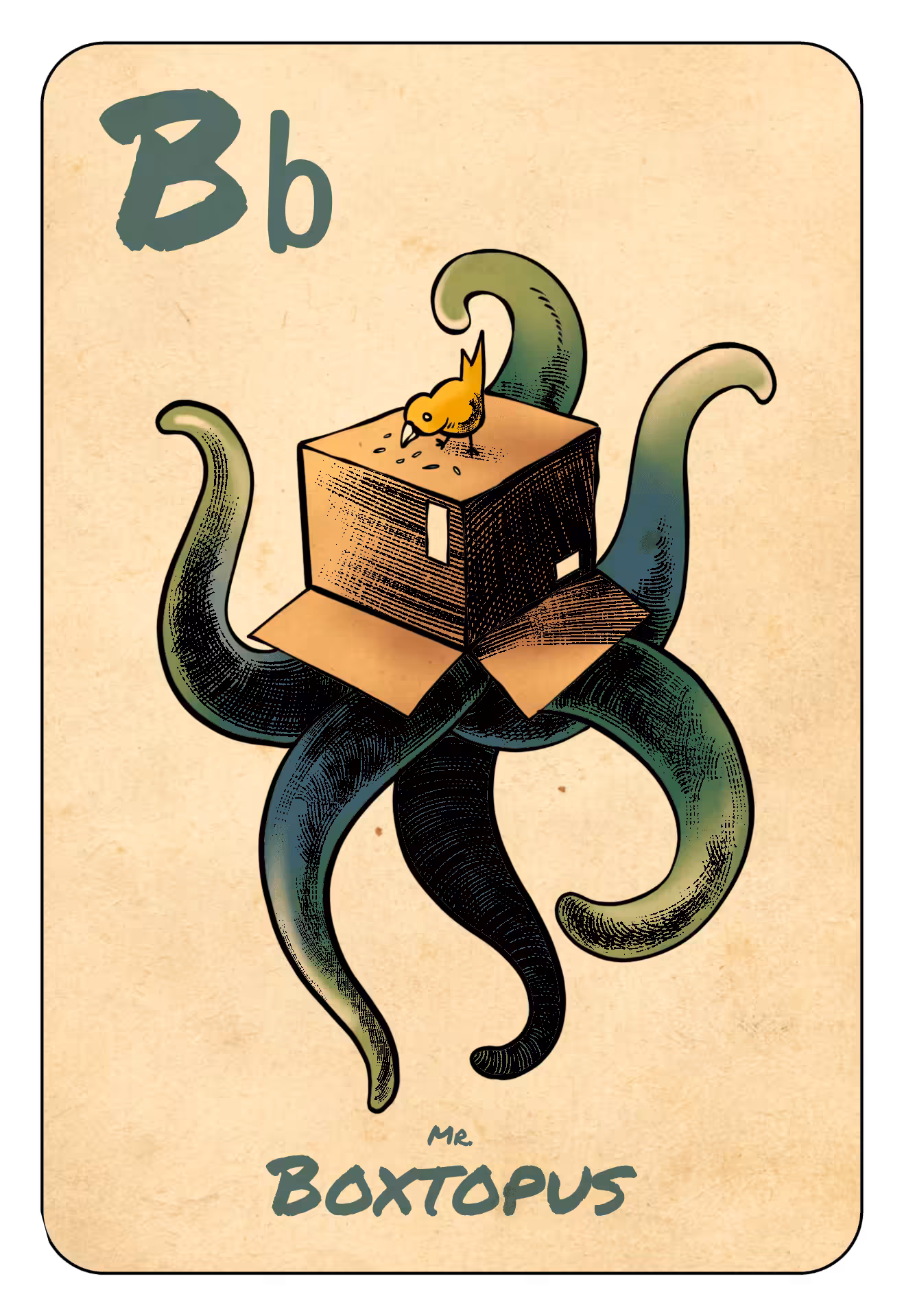 B Boxtopus