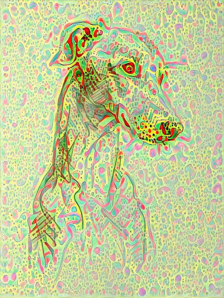 Vivid dog