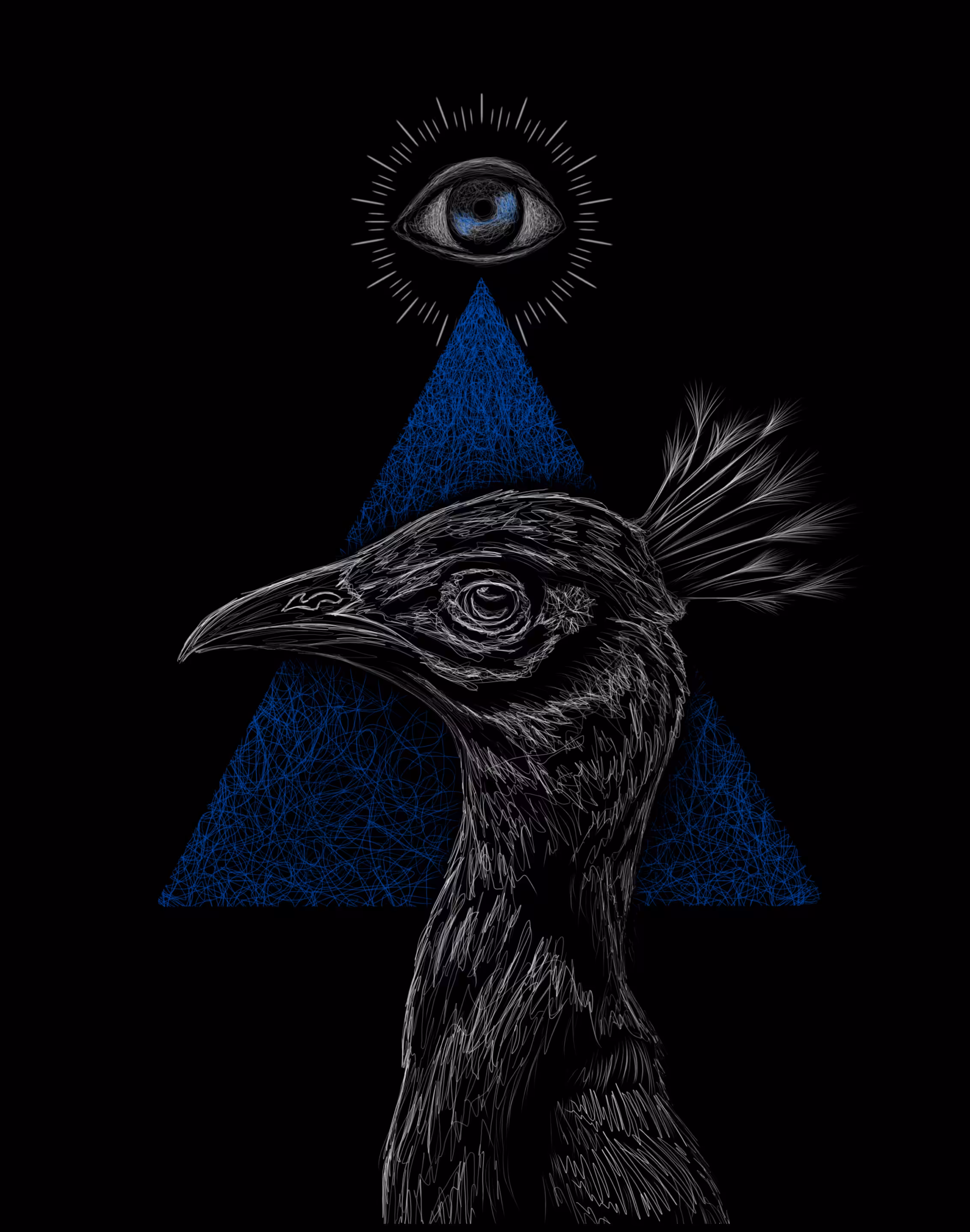 Black peacock