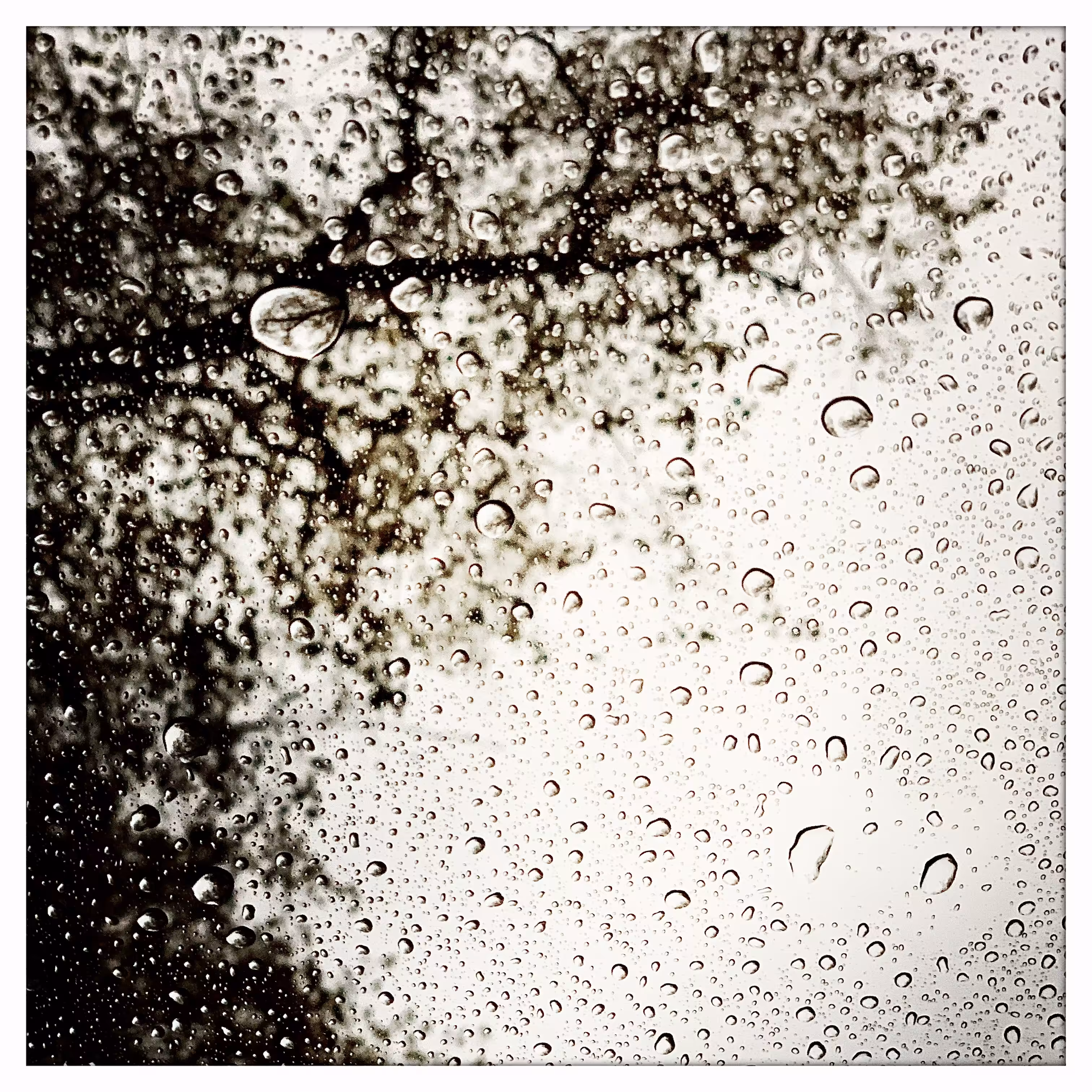 Drops #2