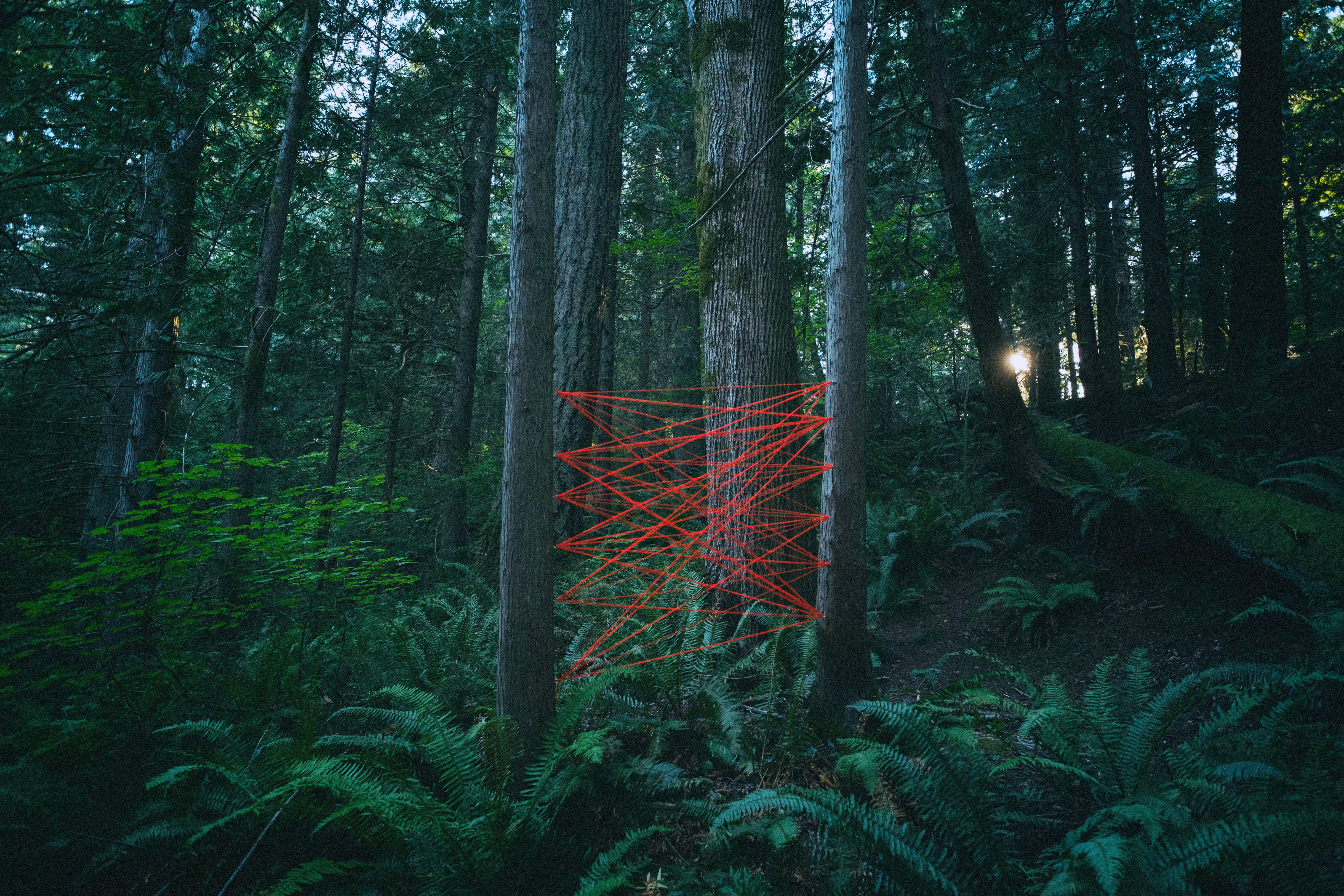 Don't get caught in the web