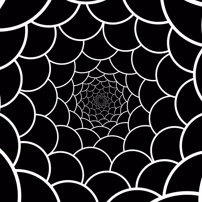CircleWeb