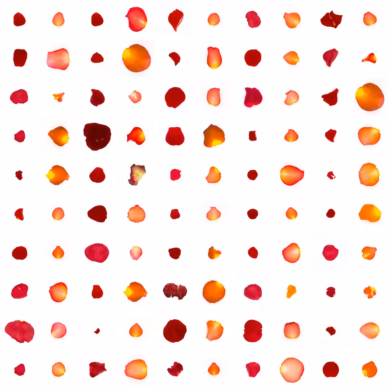 Infinite Petals 10x10#1795
