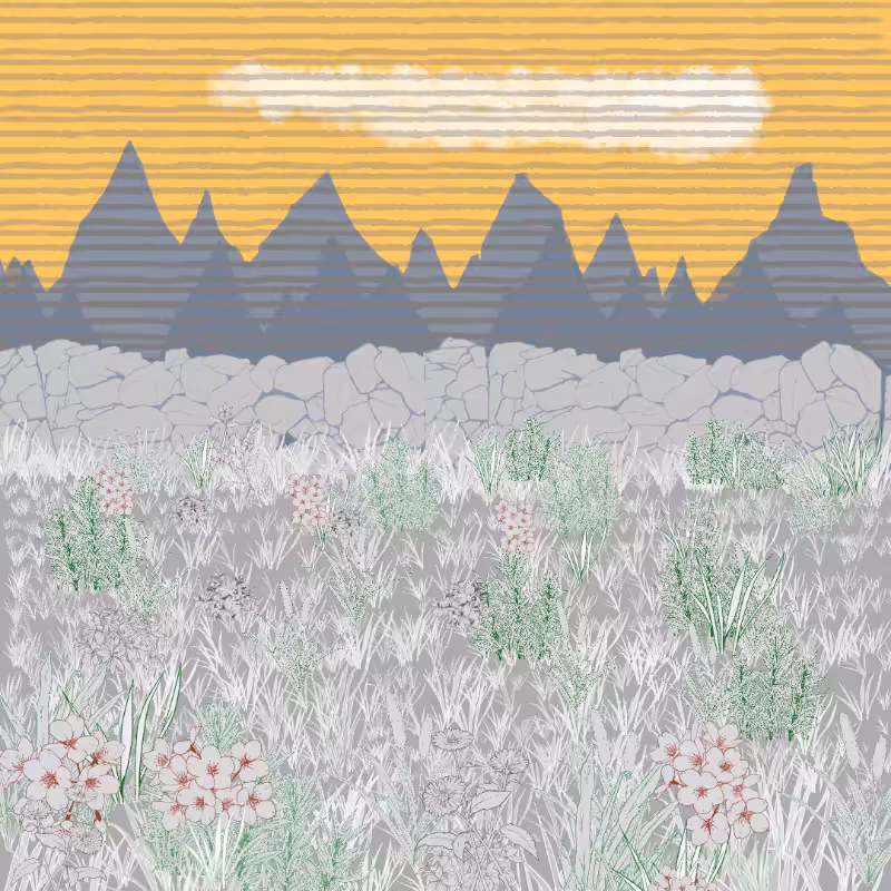 Mountain Meadows #70