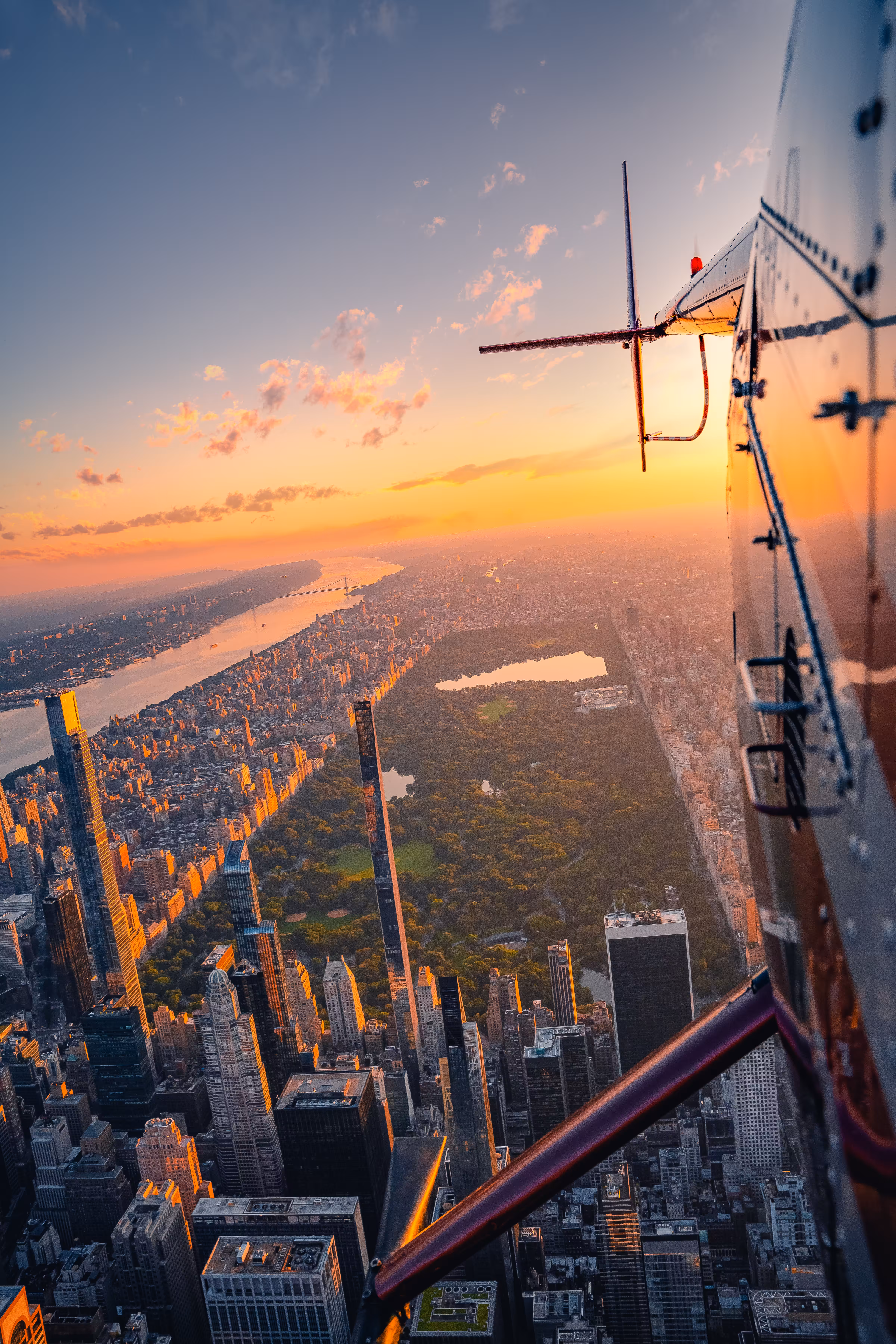 Above It All 