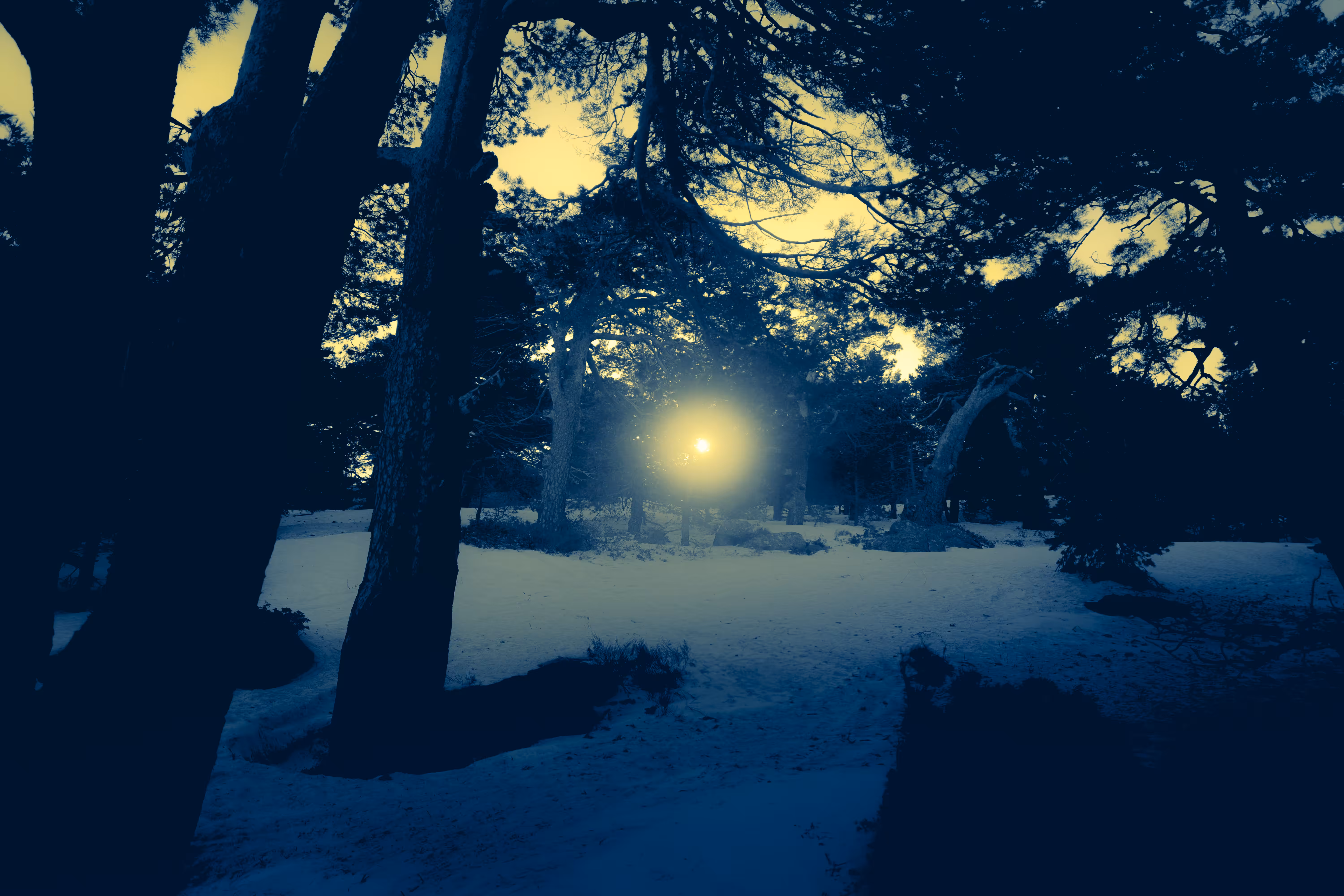 What We Leave In The Cold: Looking Inward