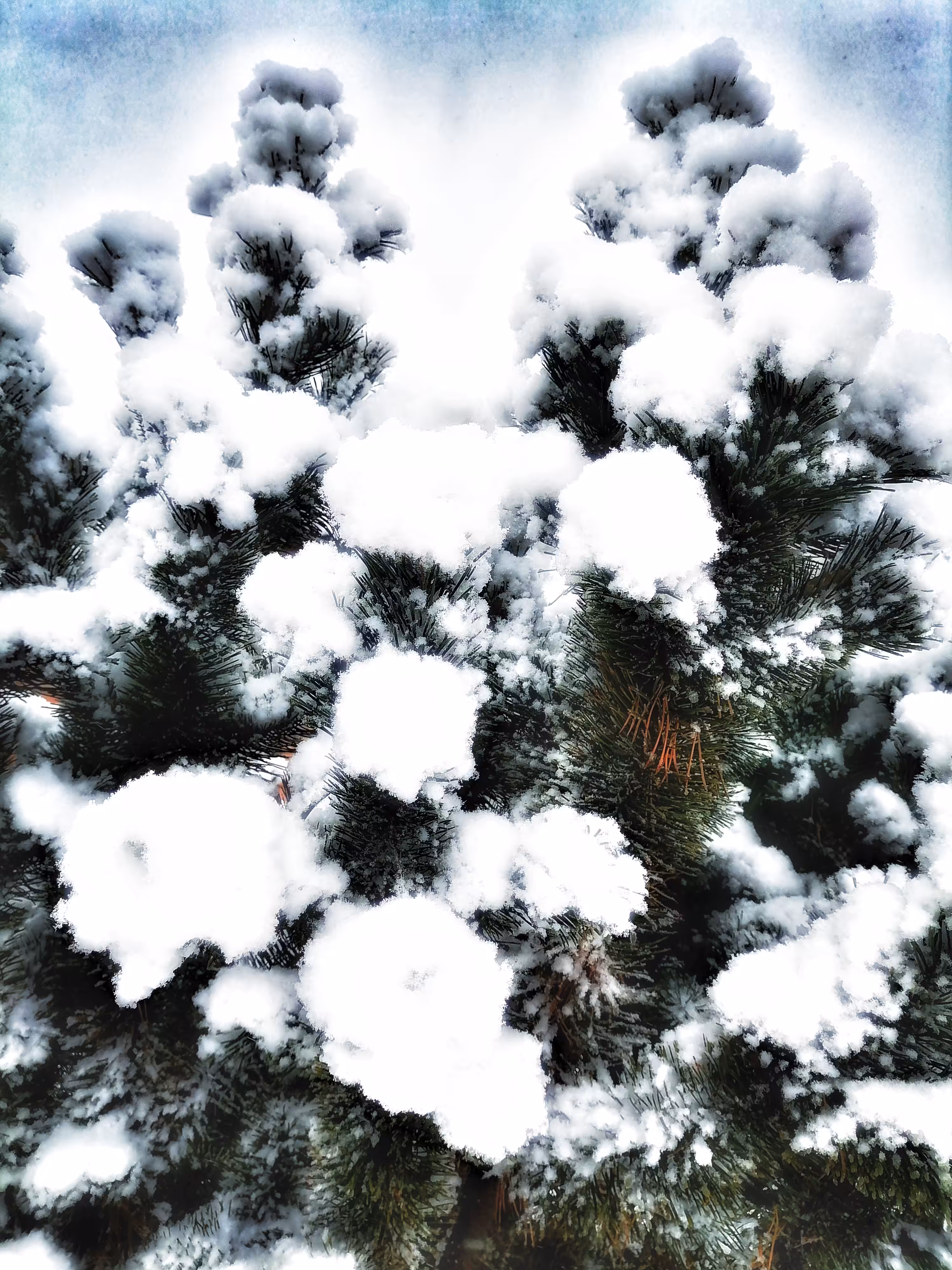 White and fluffy snow