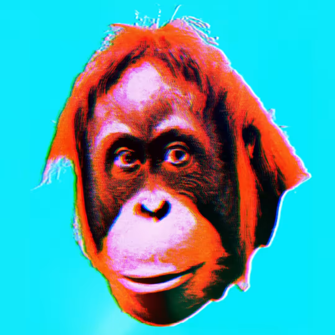 ORANGUTAN - SA#041