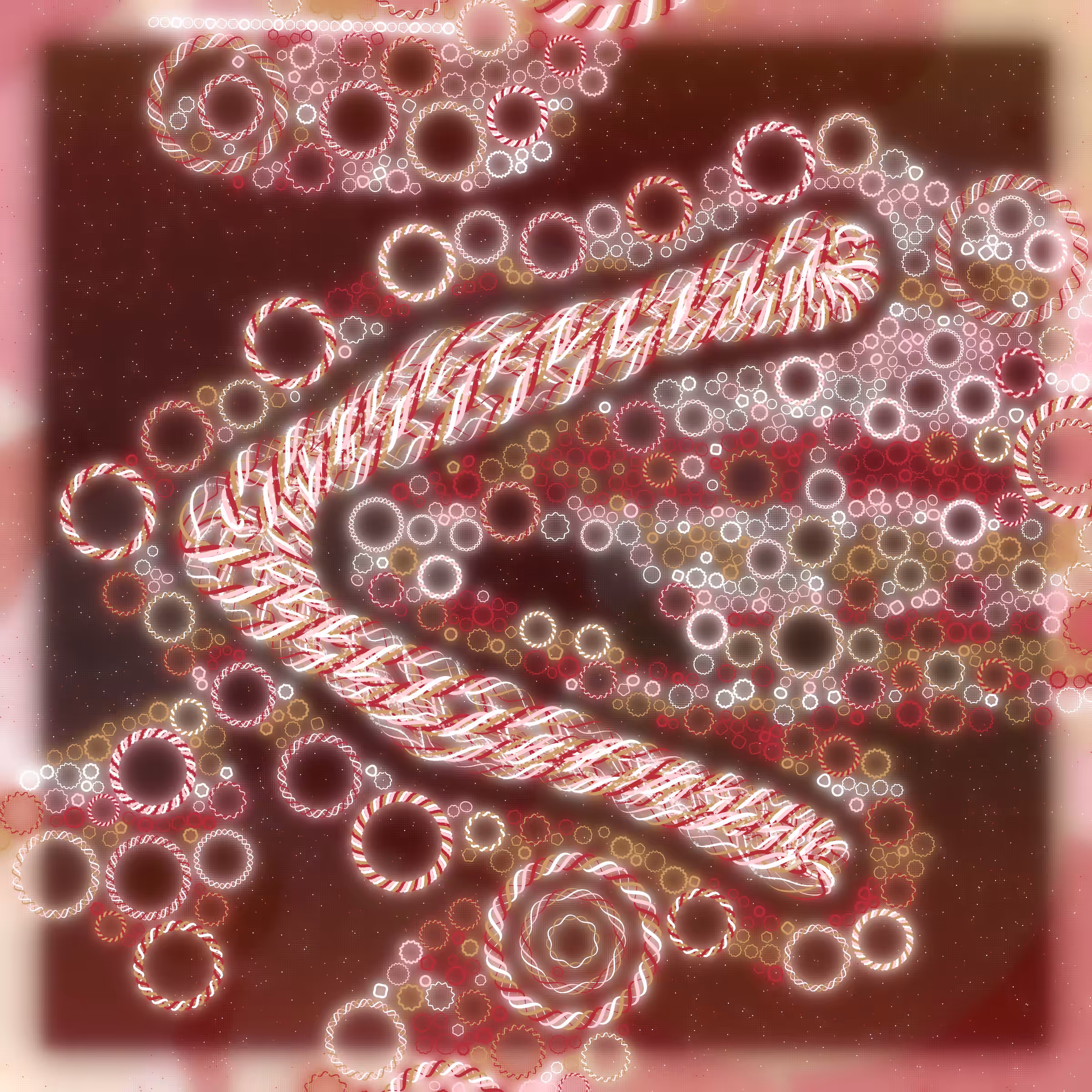 Friendship Bracelets #13243