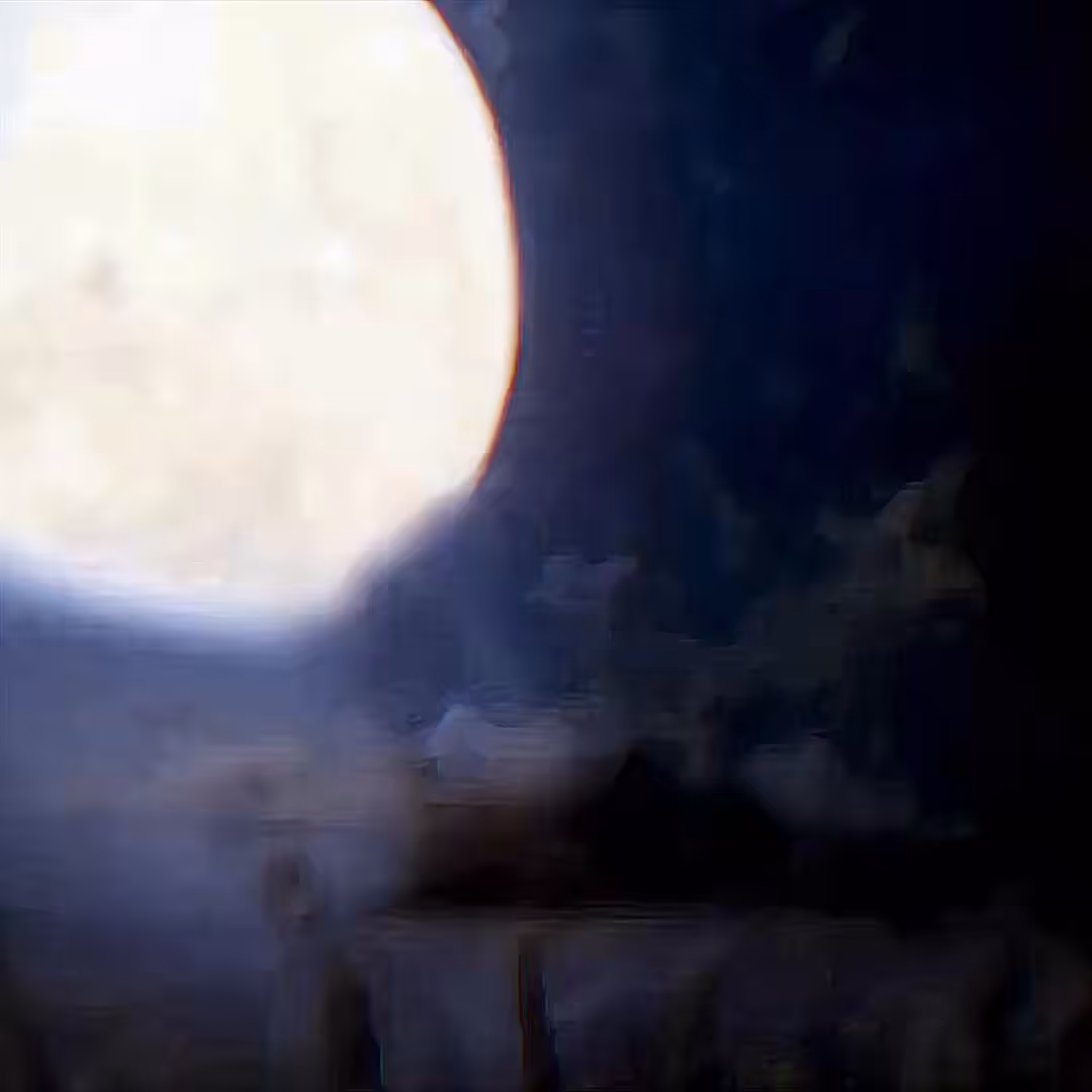 Frank Manzano - Lunatikin