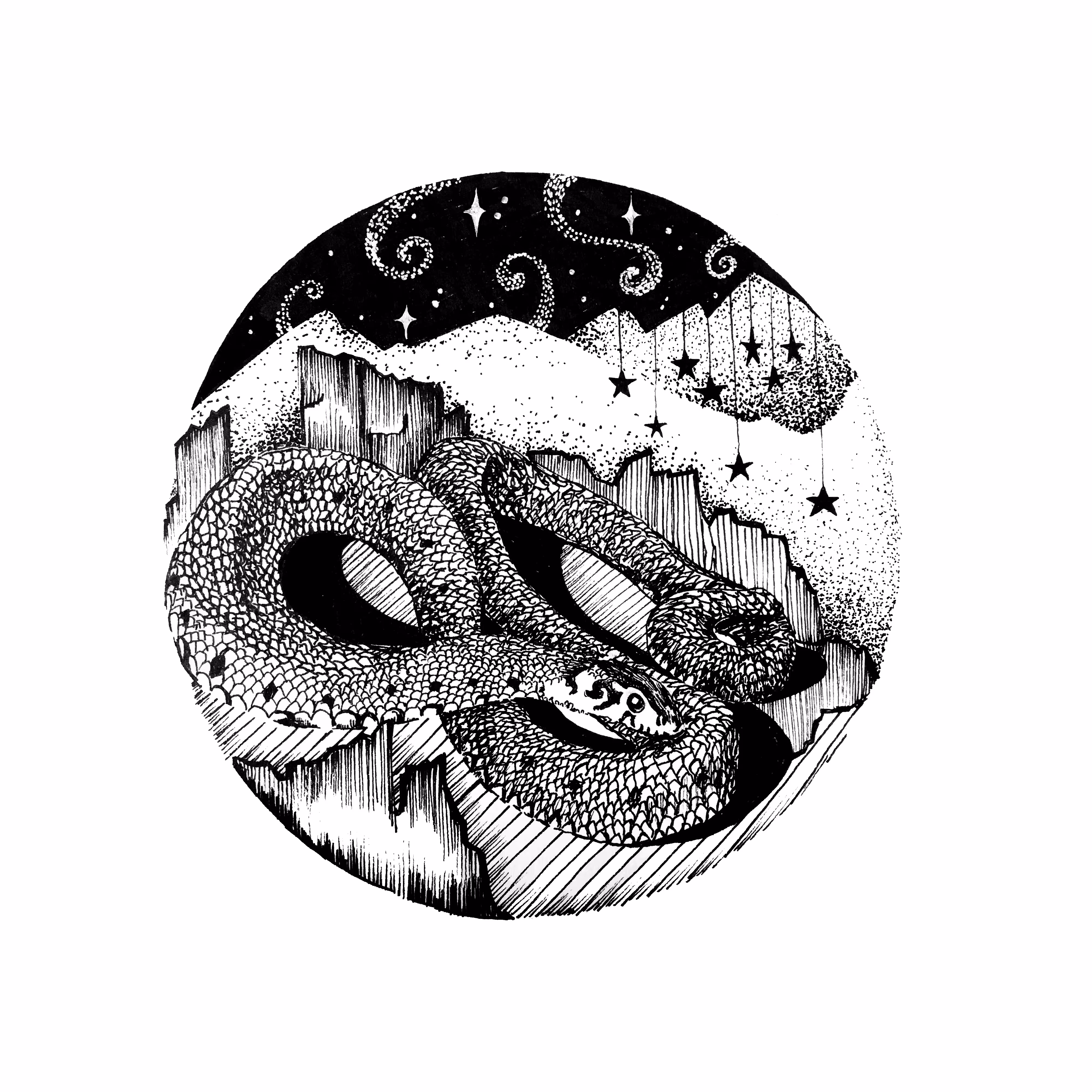 Amazing black and white graphics: Infinity Serpent