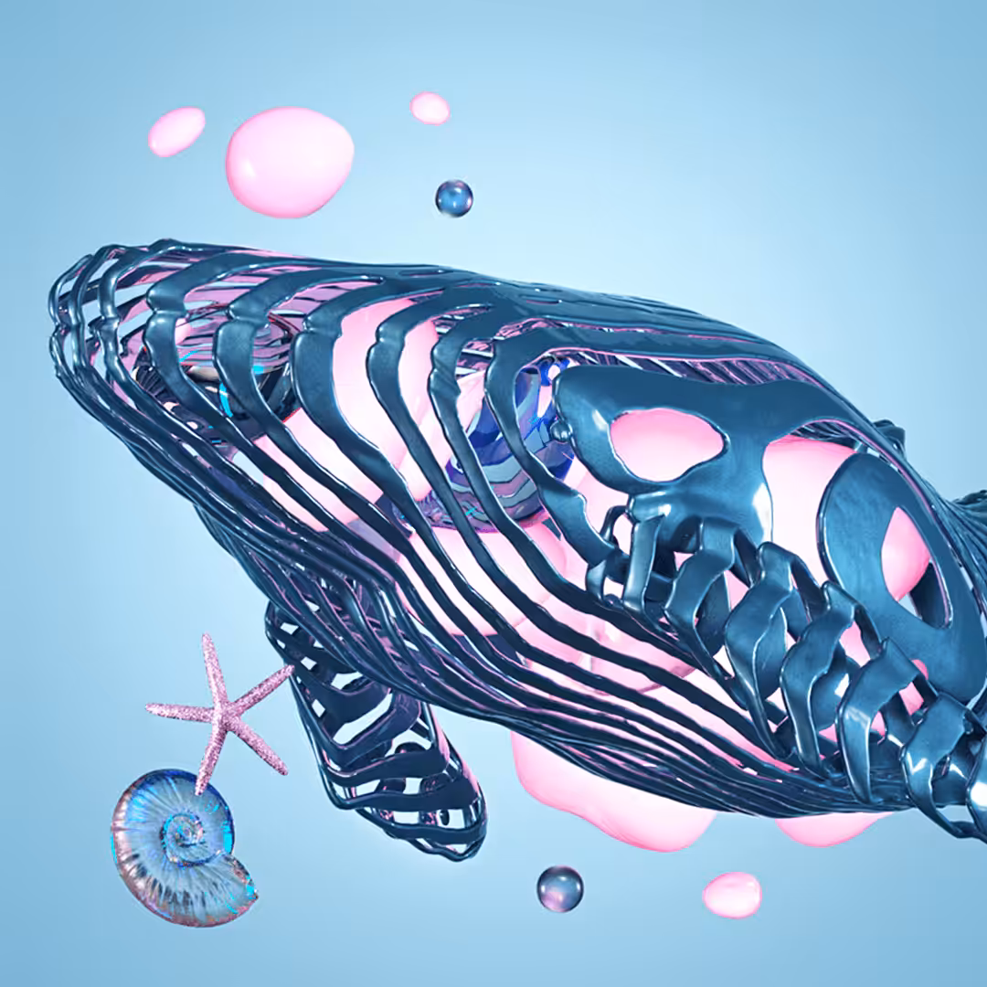  #16 Whale