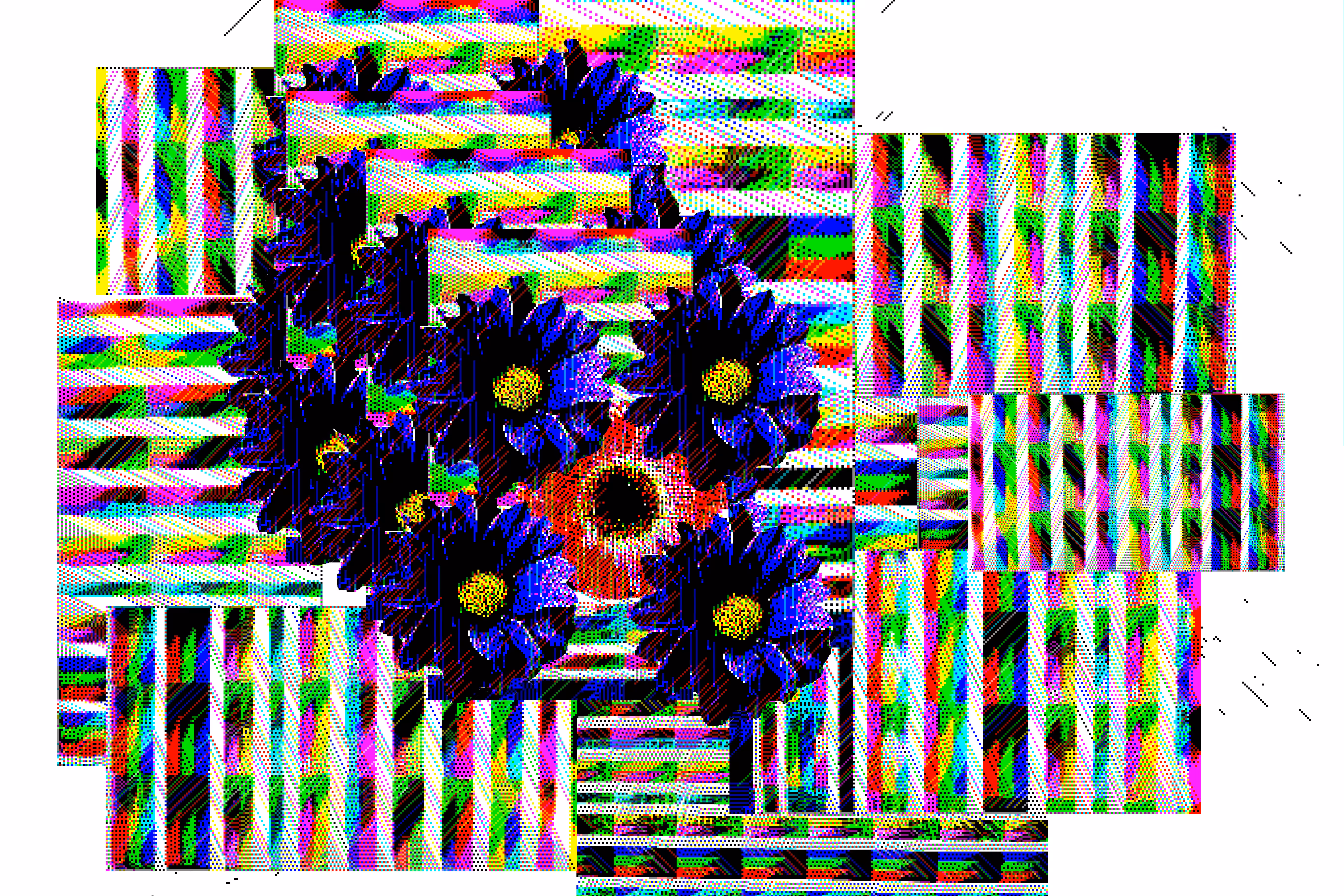 Observation 13
