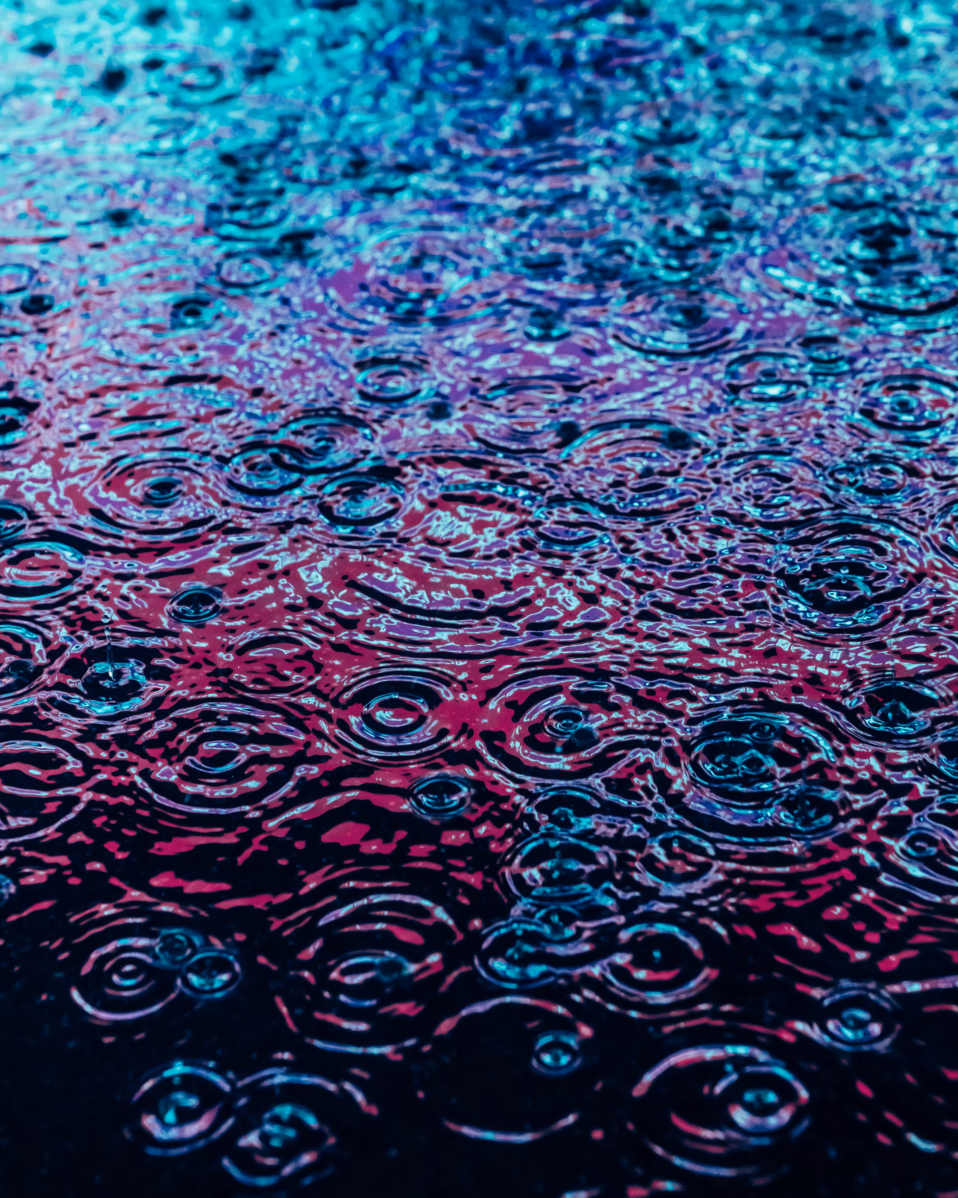 DRIP #68