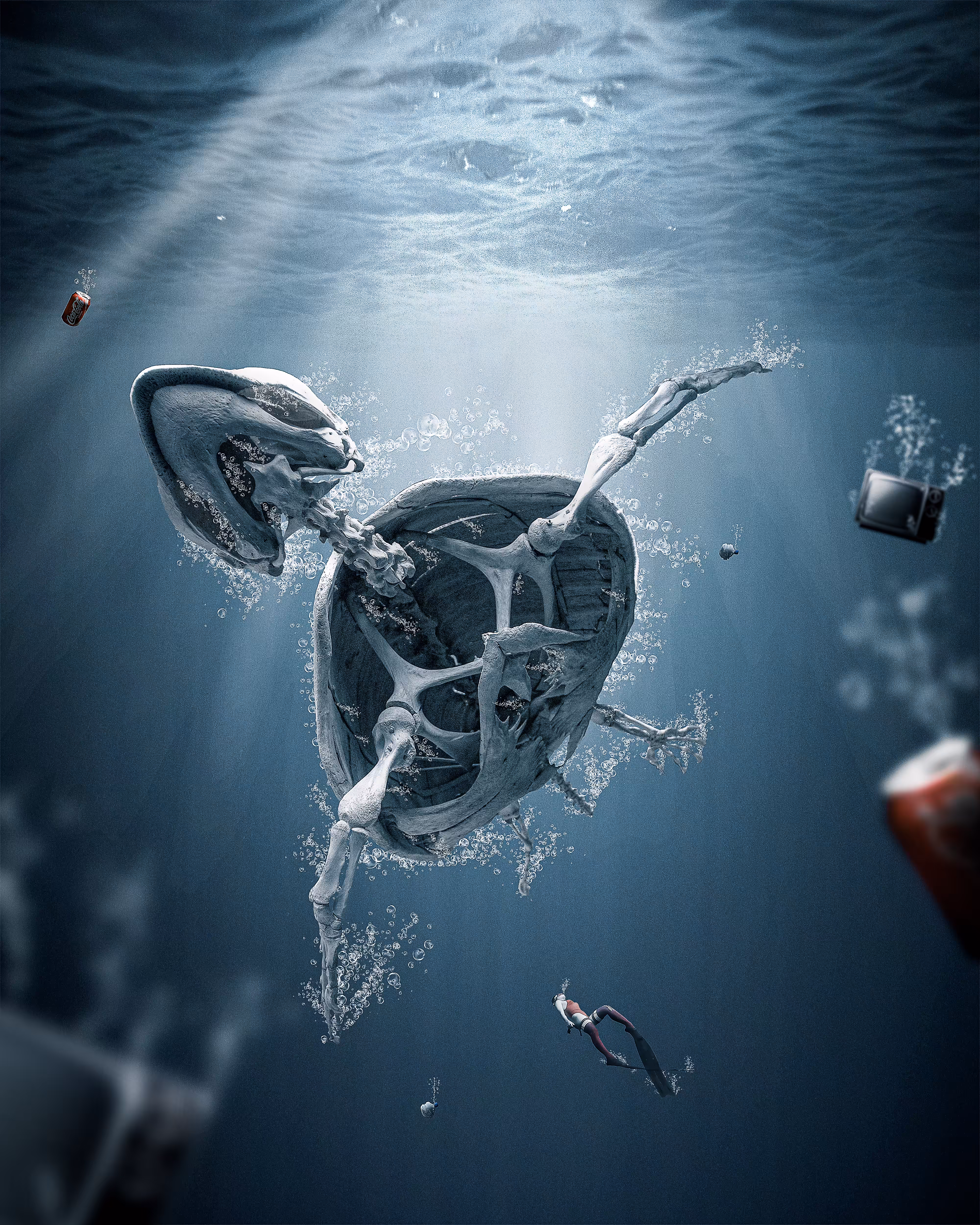 Polluted oceans