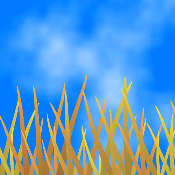 Fields of Ukraine #25