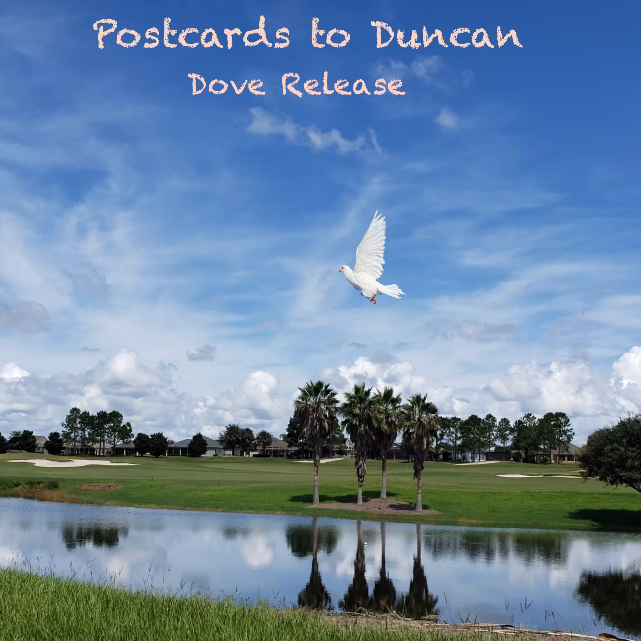 Dove release
