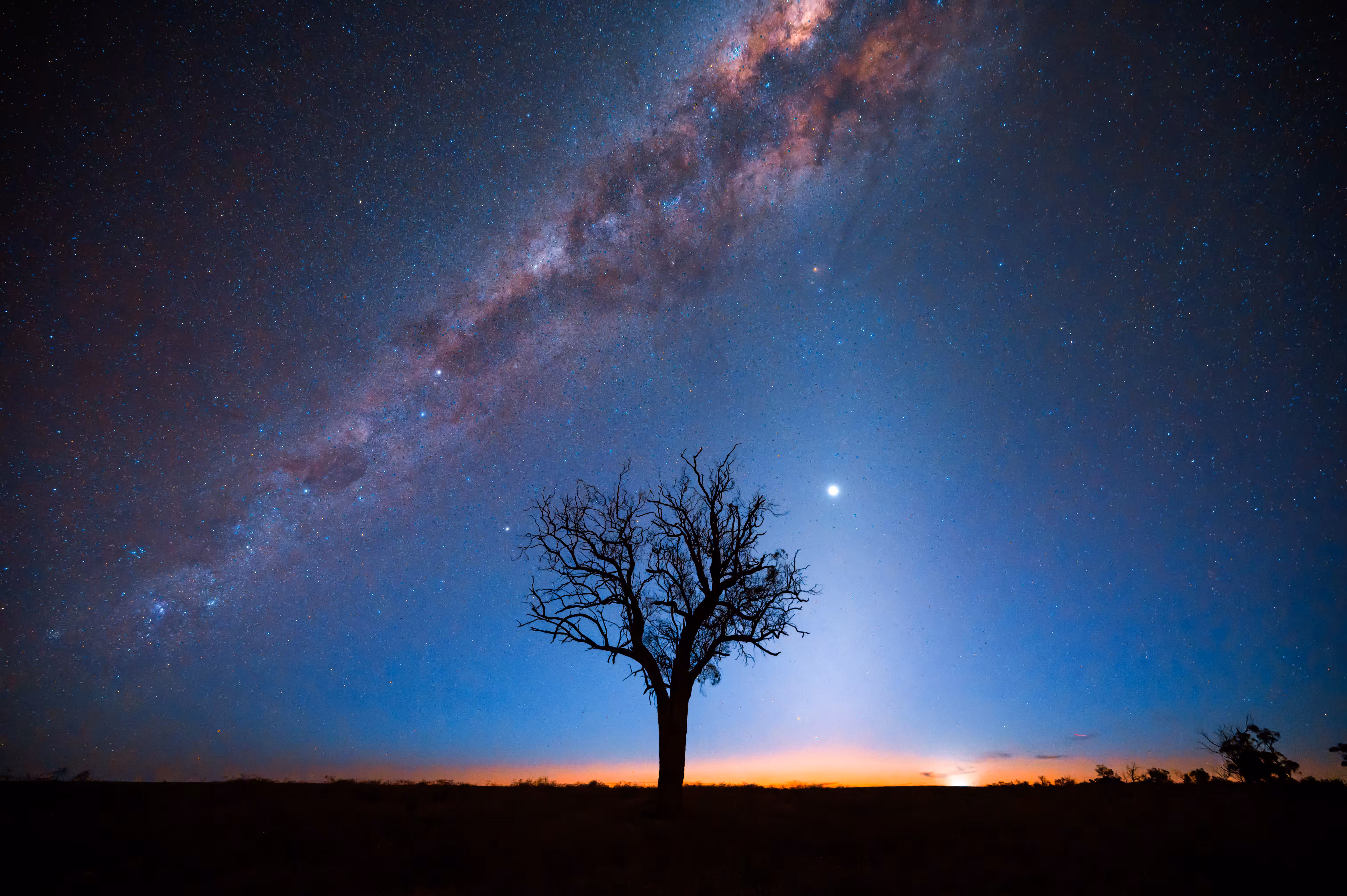 Silhouettes and Stars