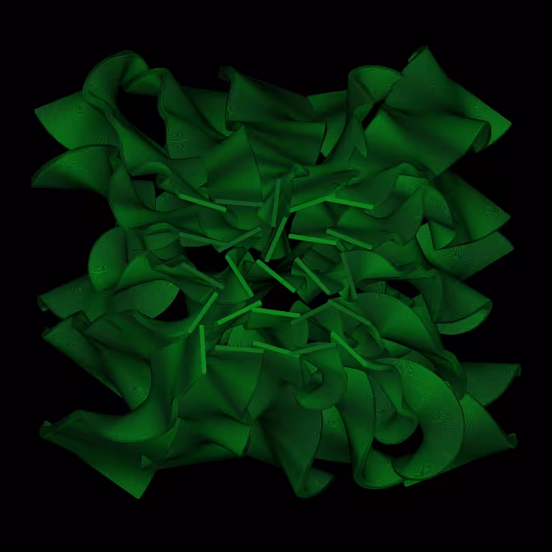 Seaweed #55