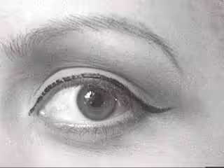 eye